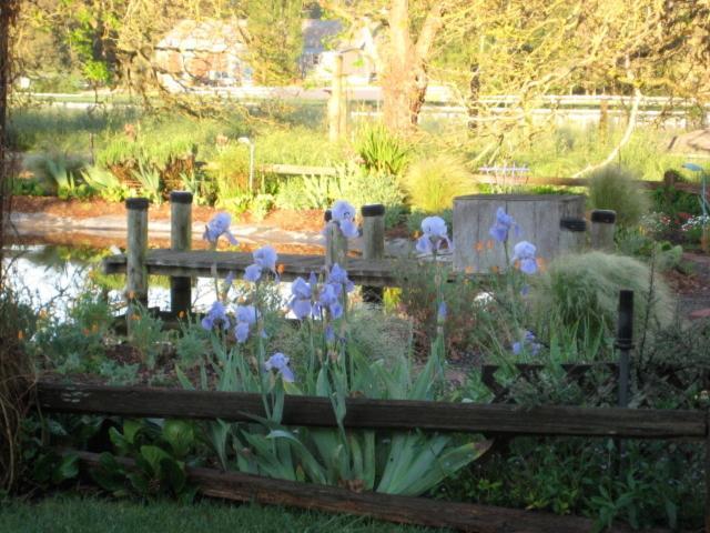 Pearlessence Vineyard Inn photo 9