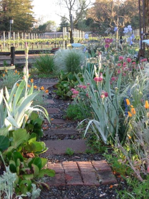 Pearlessence Vineyard Inn photo 8