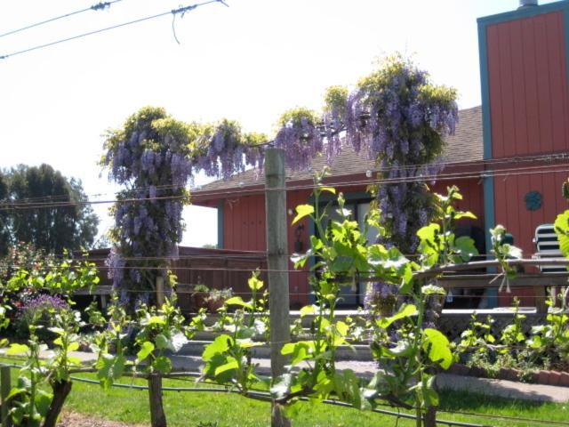 Pearlessence Vineyard Inn photo 7