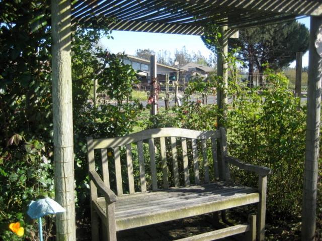 Pearlessence Vineyard Inn photo 16