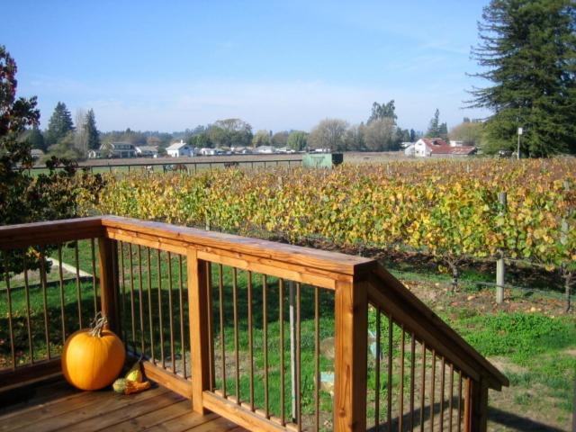 Pearlessence Vineyard Inn photo 3