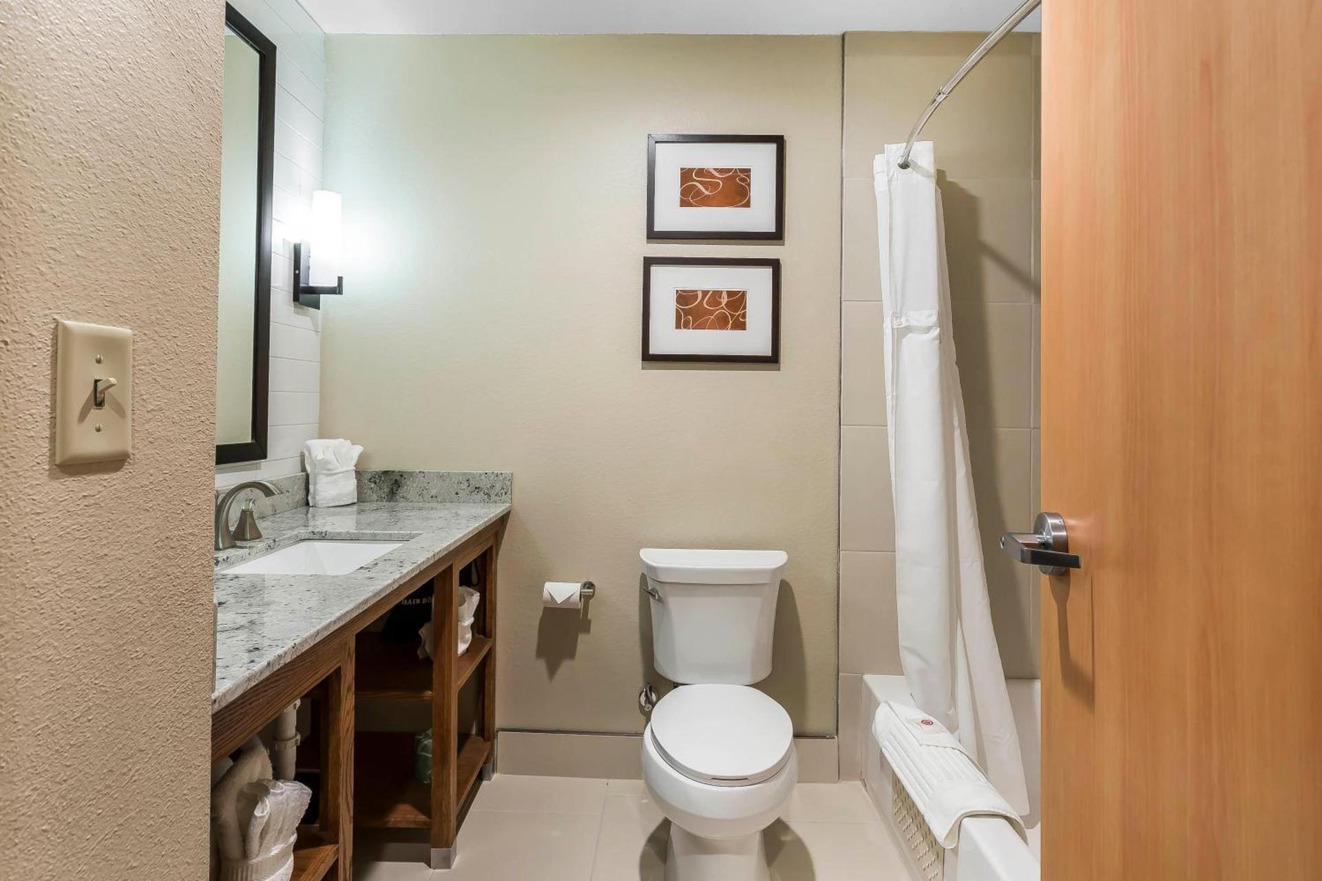 Comfort Suites - University photo 22