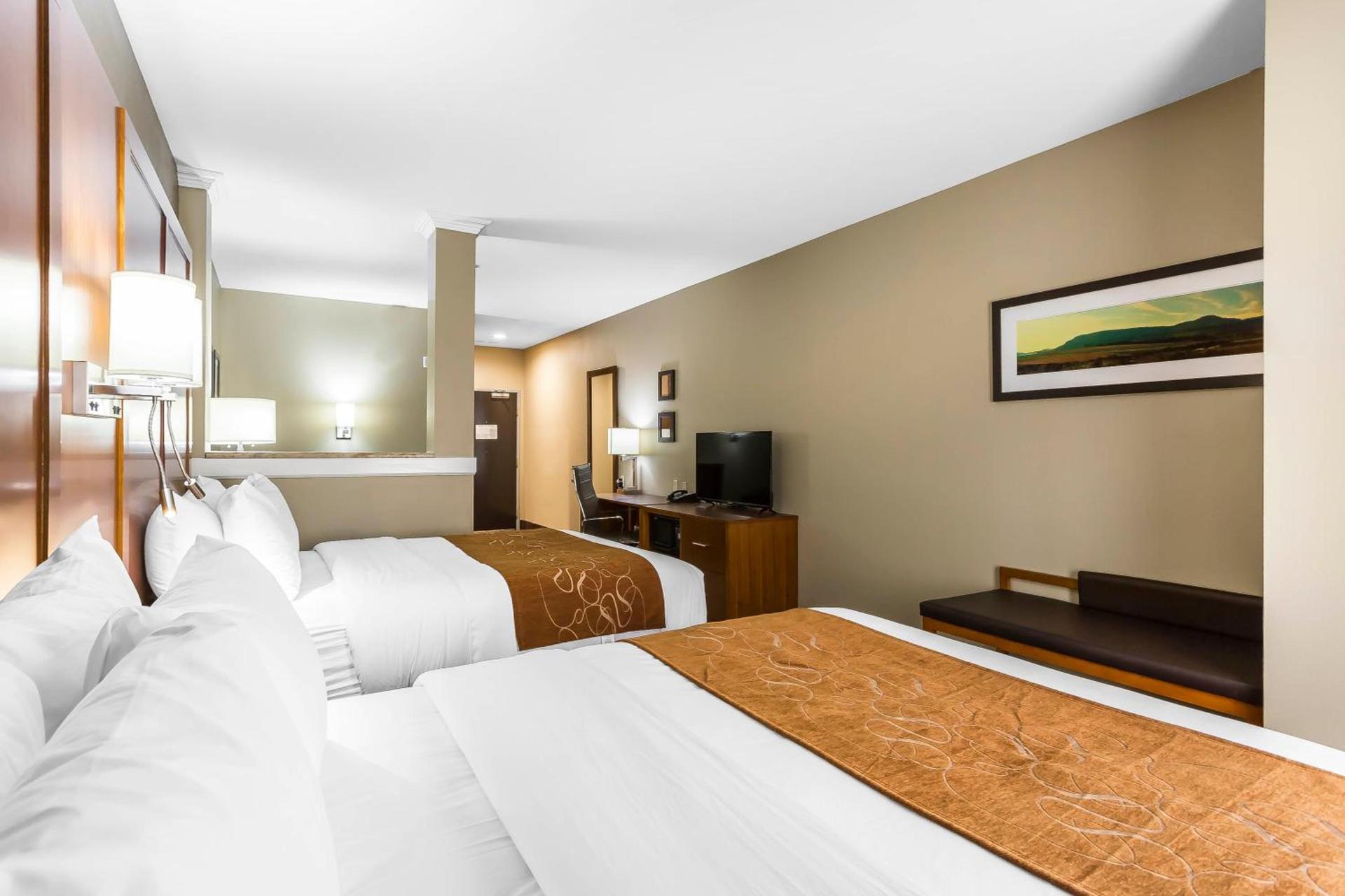 Comfort Suites - University photo 8