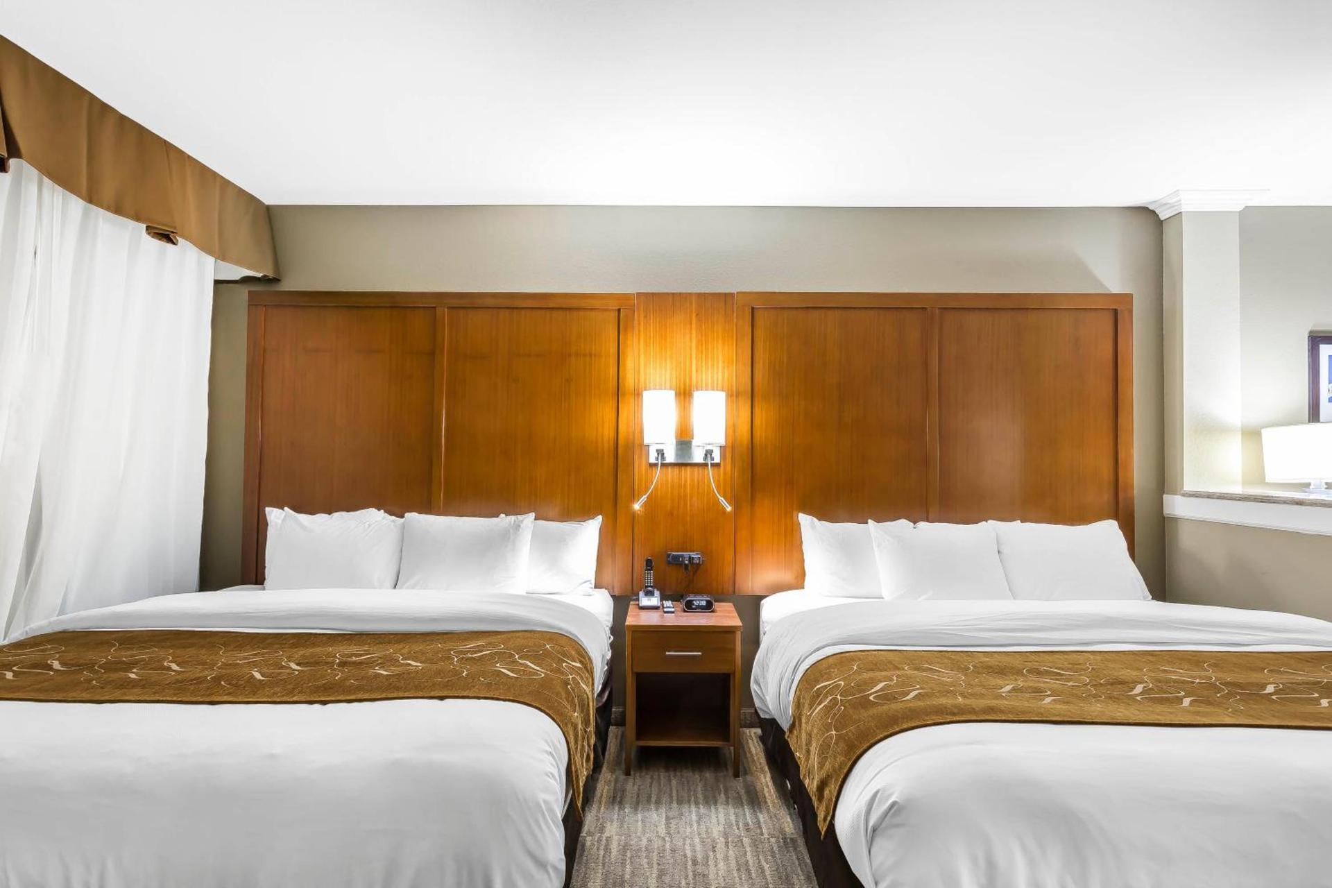 Comfort Suites - University photo 5