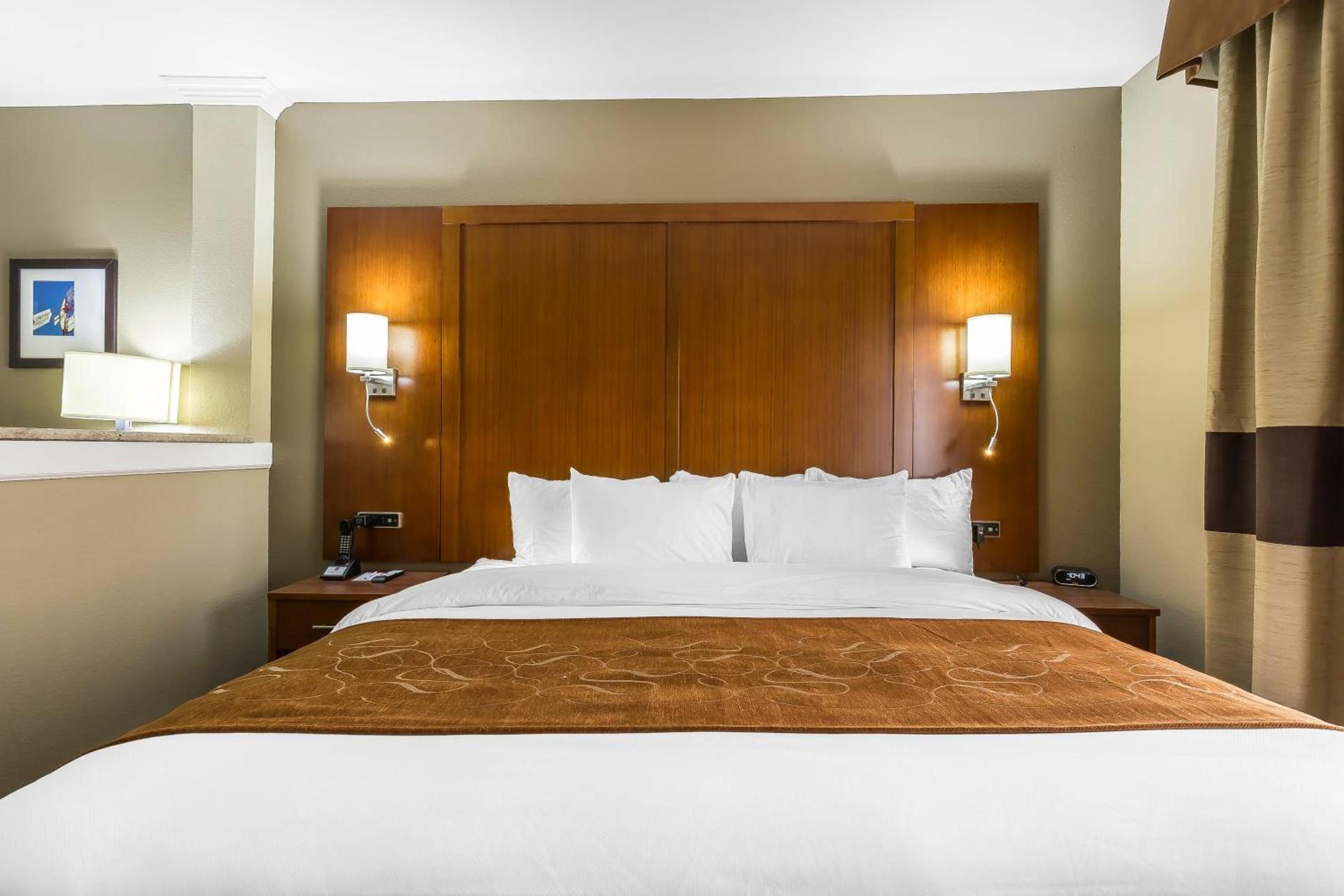 Comfort Suites - University photo 12