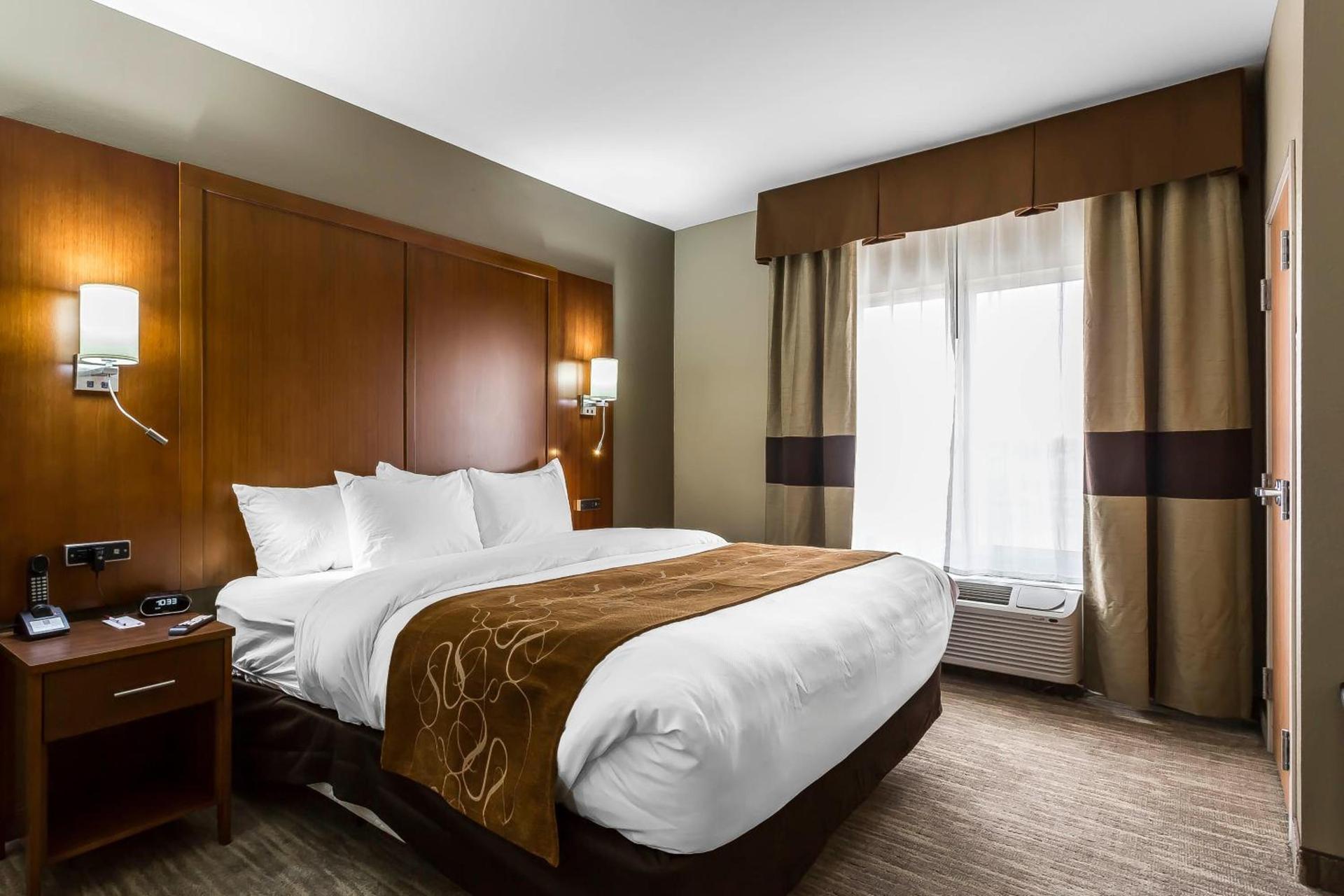 Comfort Suites - University photo 13