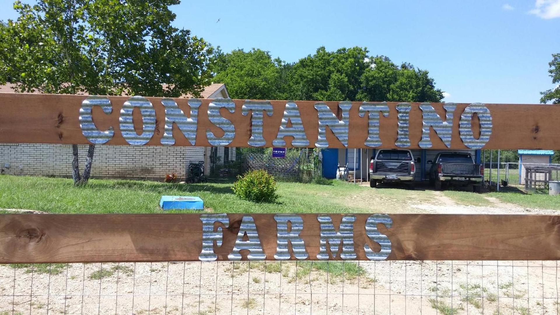 Constantino Farms photo 7