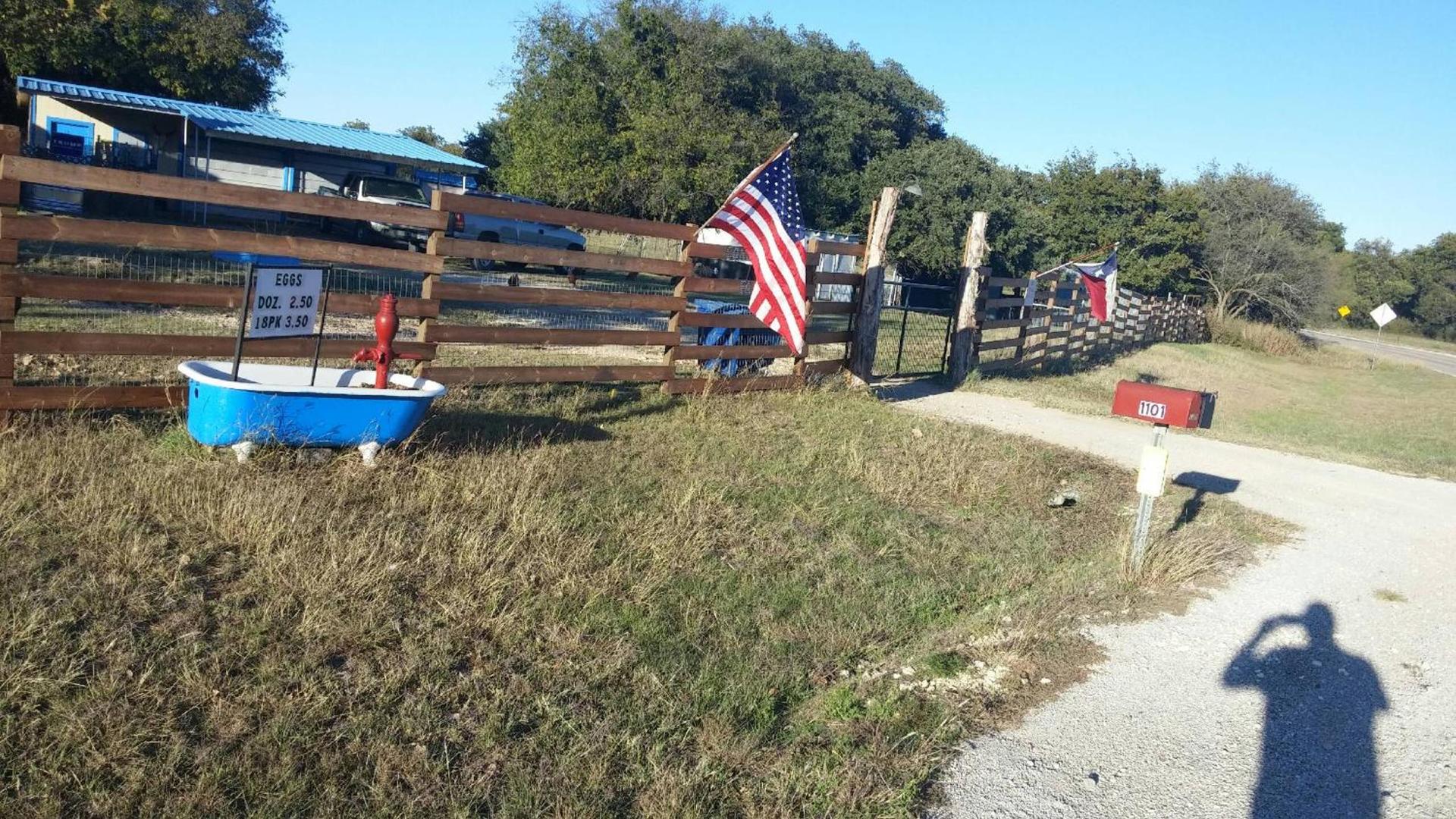 Constantino Farms photo 27