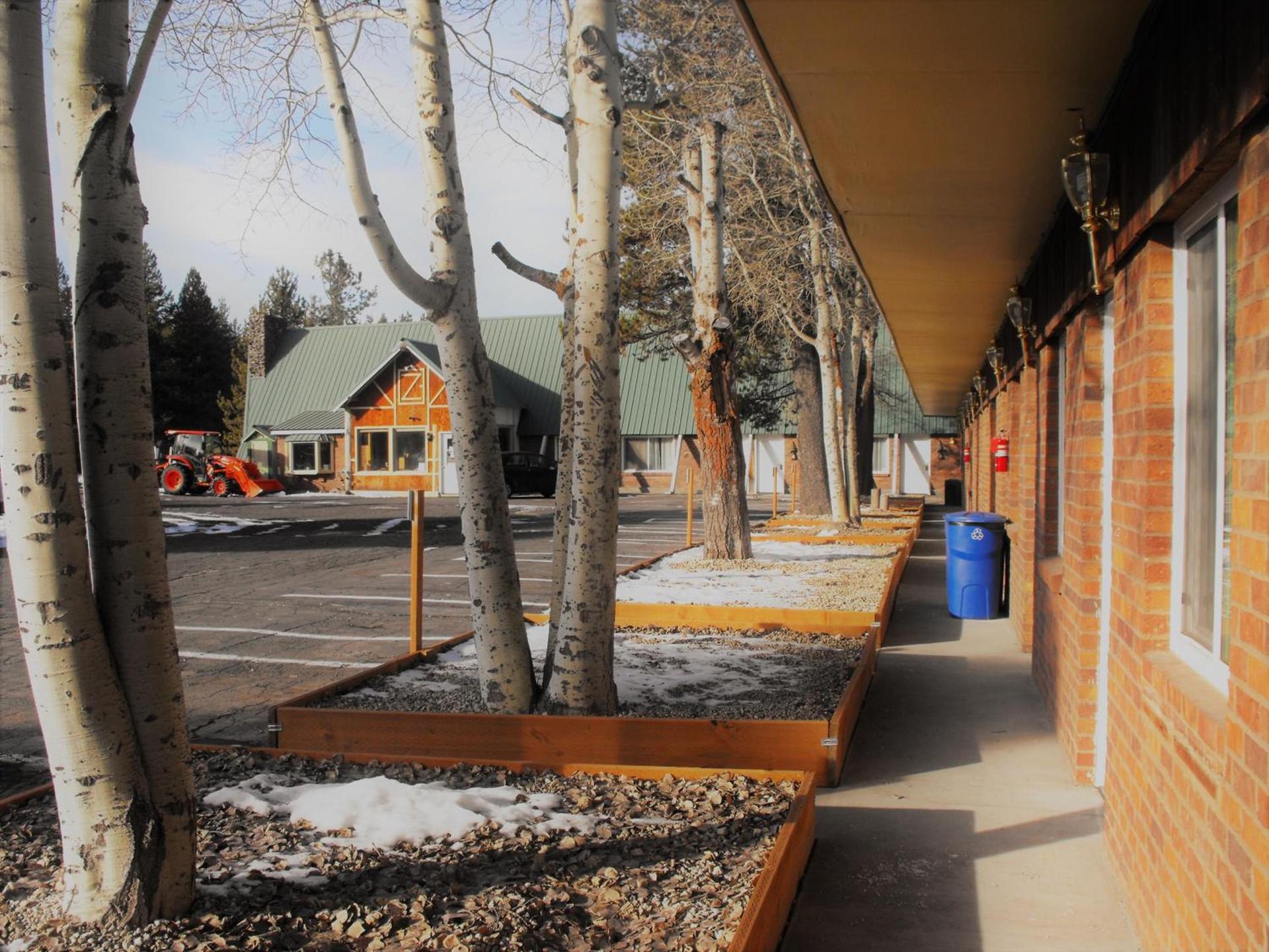 Eagle Crater Lake Inn photo 3