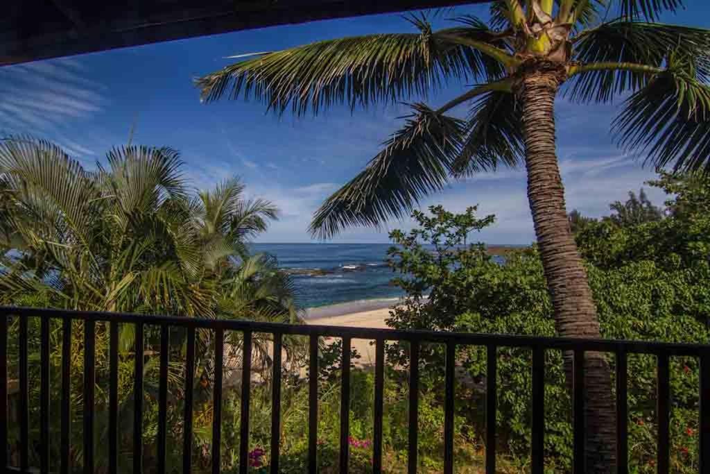 Backpackers Vacation Inn and Plantation Village photo 28