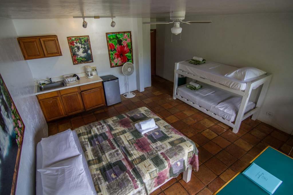 Backpackers Vacation Inn and Plantation Village photo 27