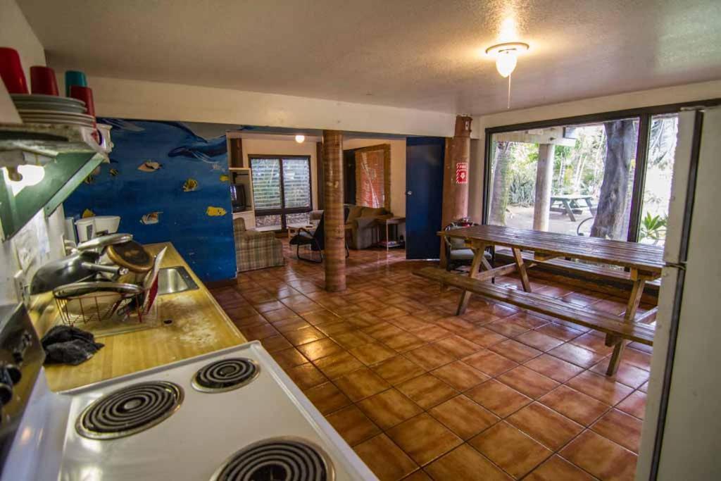 Backpackers Vacation Inn and Plantation Village photo 26