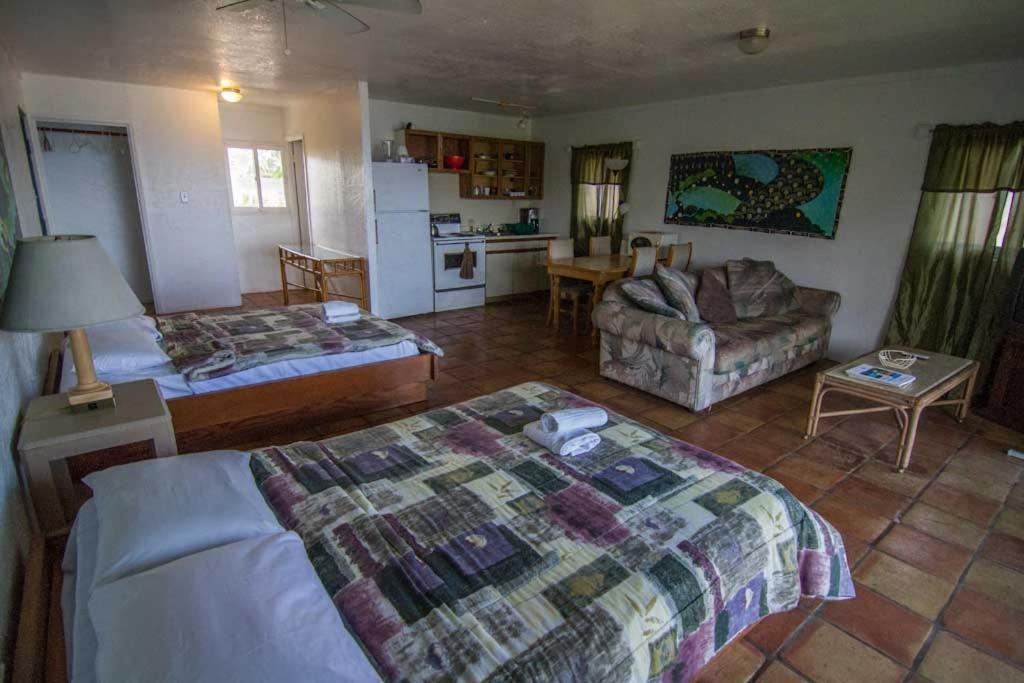 Backpackers Vacation Inn and Plantation Village photo 24
