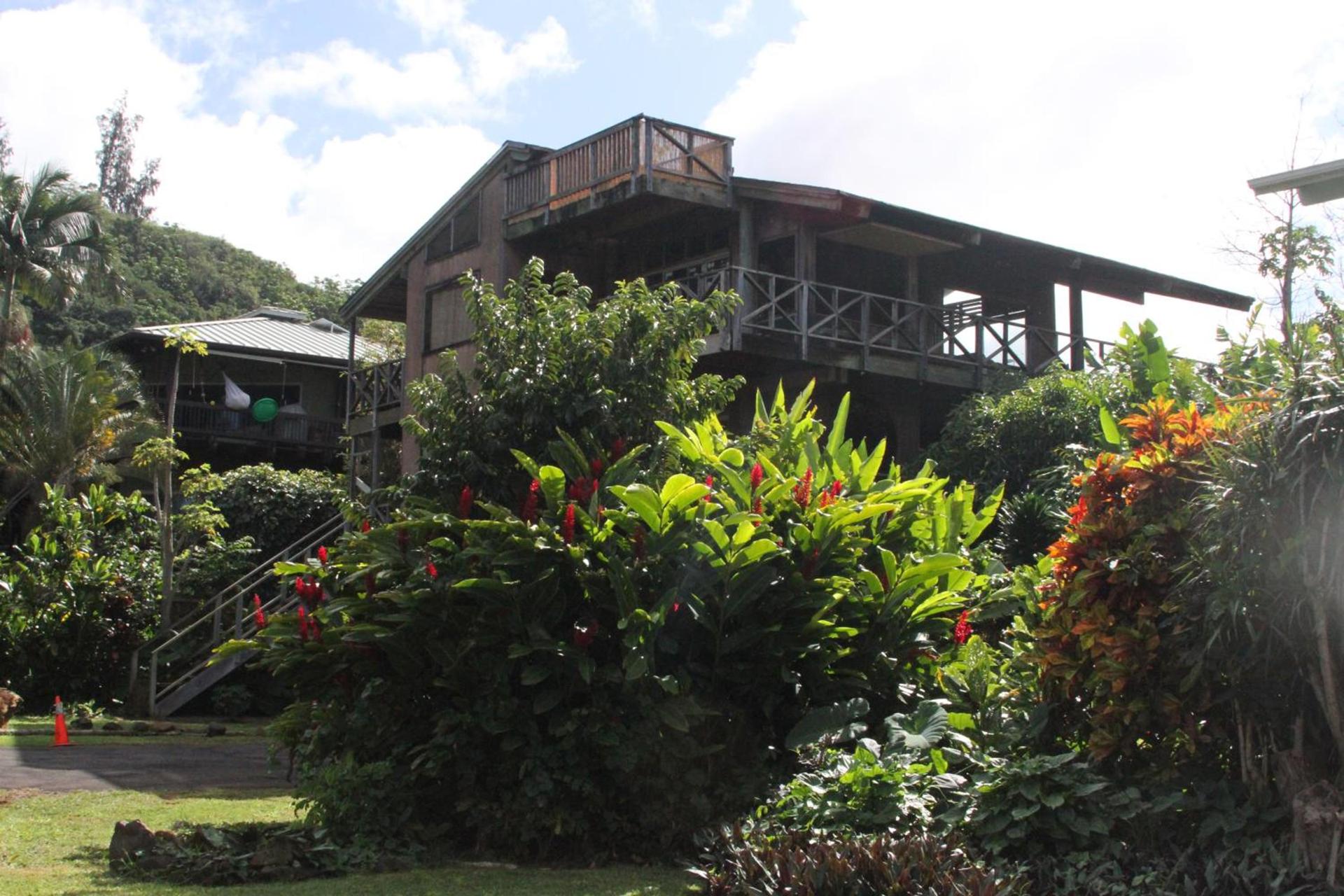 Backpackers Vacation Inn and Plantation Village photo 7