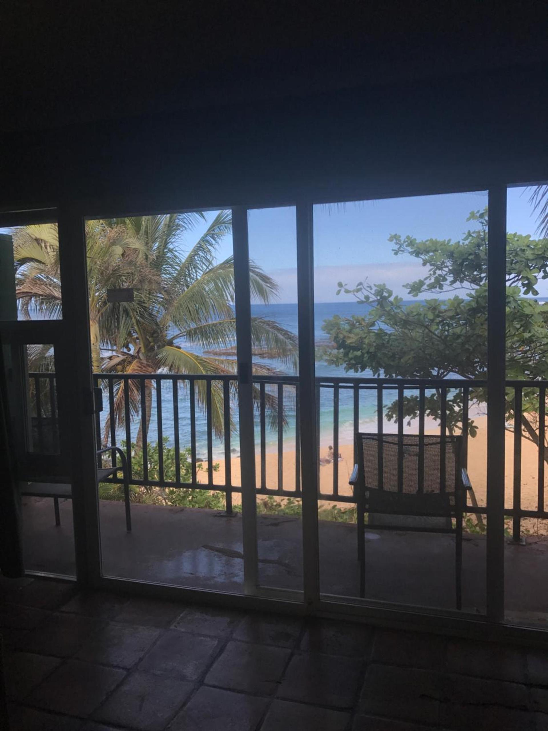 Backpackers Vacation Inn and Plantation Village photo 20