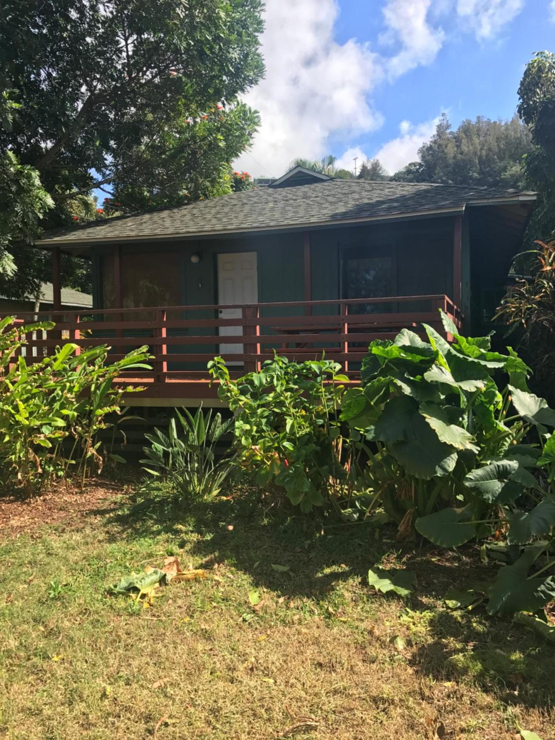 Backpackers Vacation Inn and Plantation Village photo 1