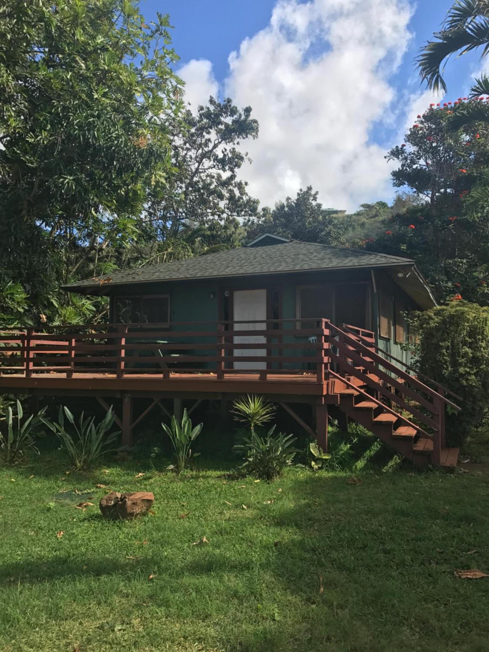 Backpackers Vacation Inn and Plantation Village photo 18