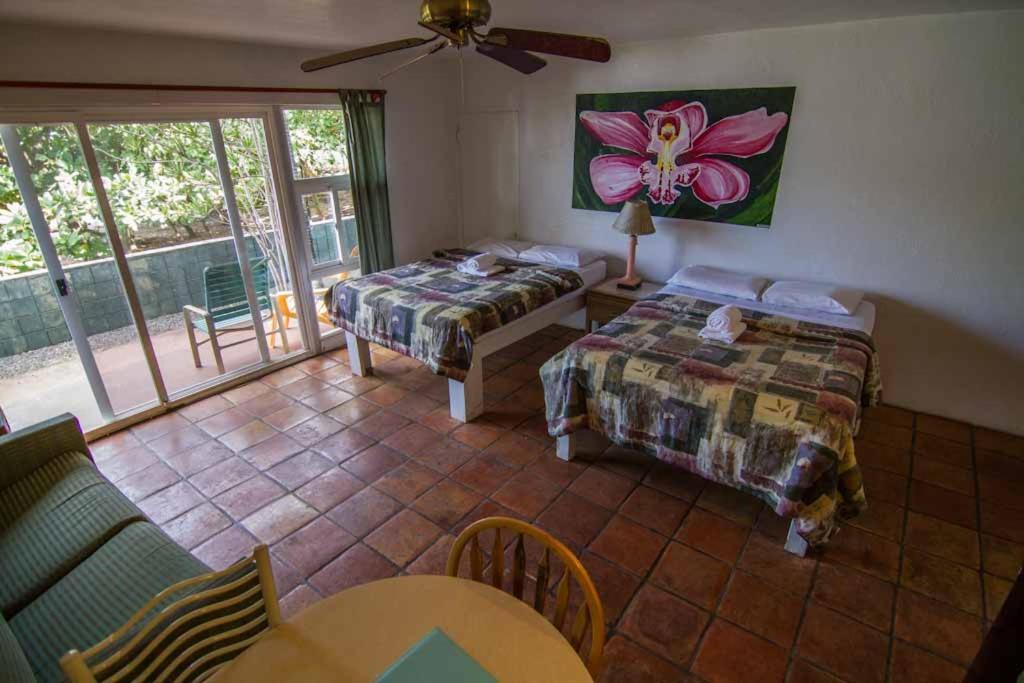 Backpackers Vacation Inn and Plantation Village photo 17