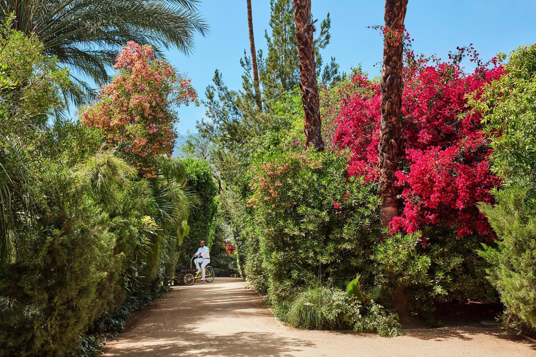 Parker Palm Springs photo 14