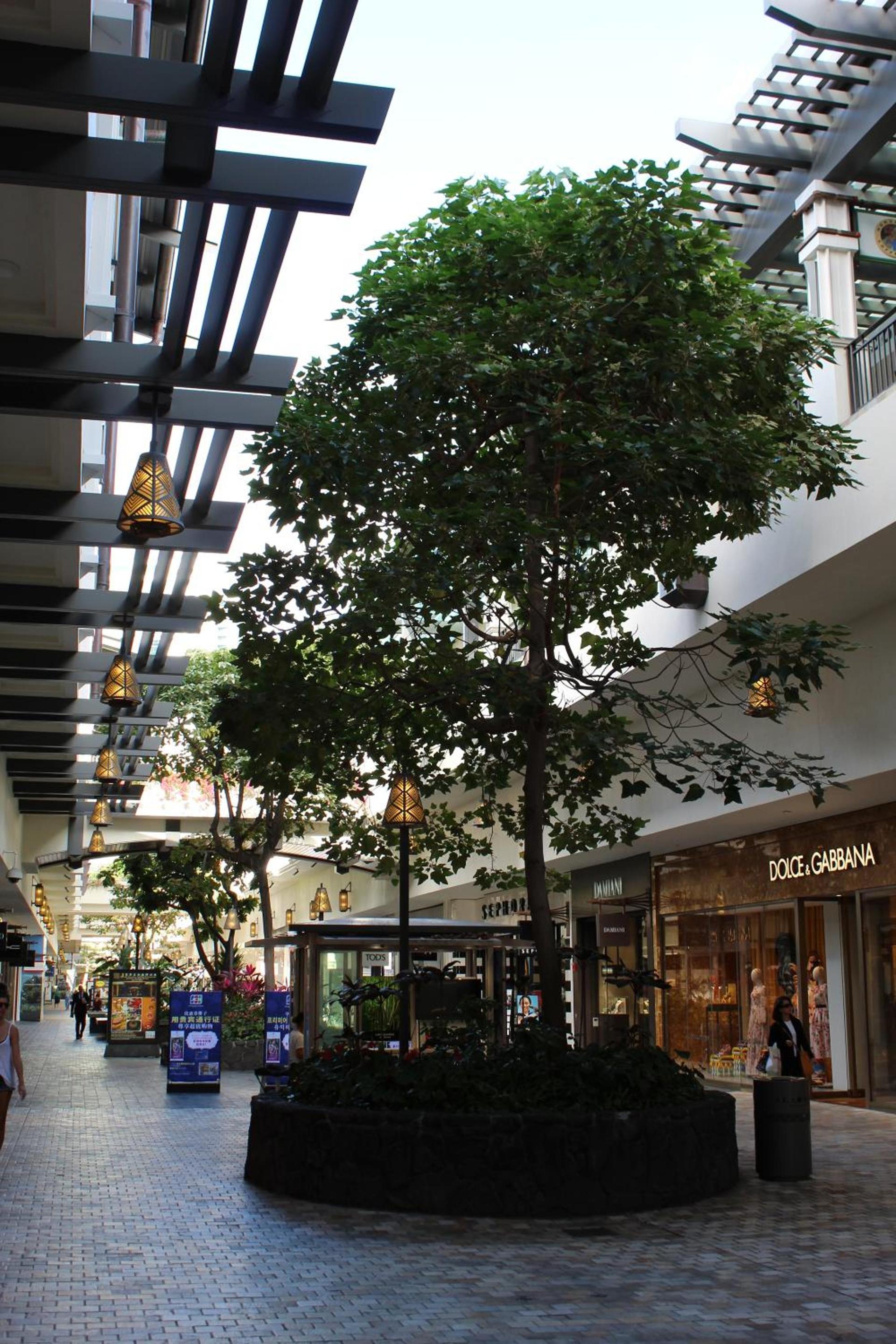 LSI Resorts at Ala Moana photo 31