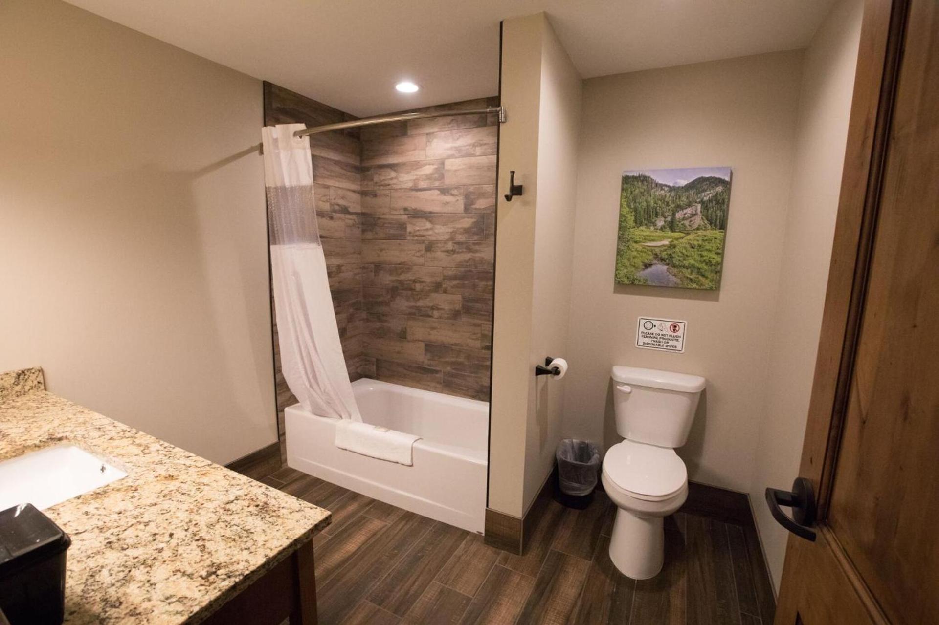 Sawtelle Mountain Resort photo 17