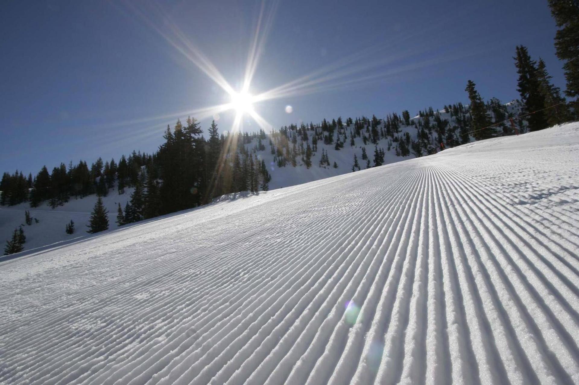 Alta's Rustler Lodge photo 61