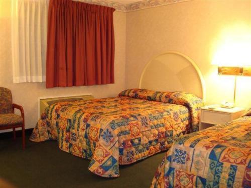 O'Hare Inn & Suites photo 10