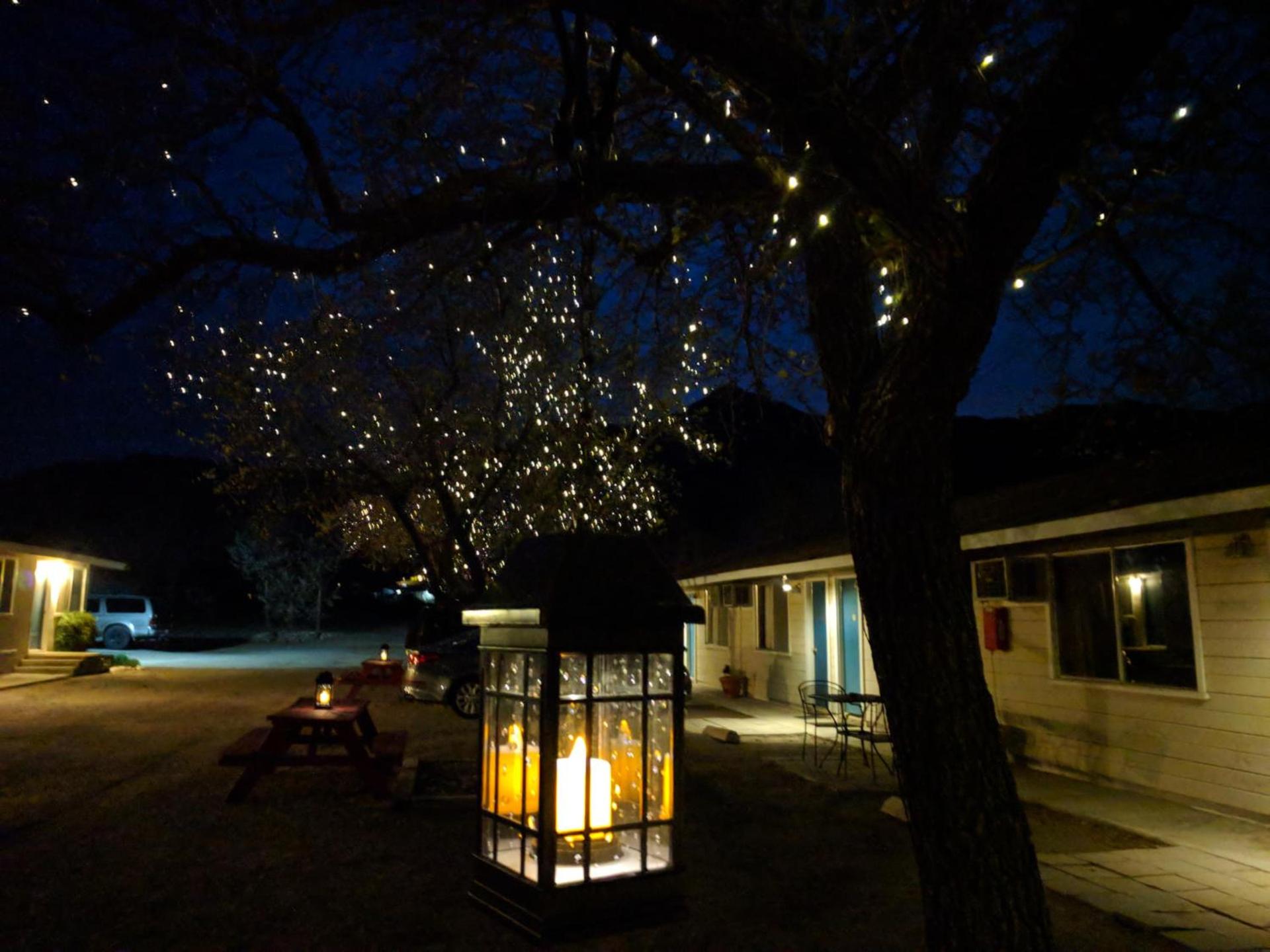 Lakeview Motel photo 3