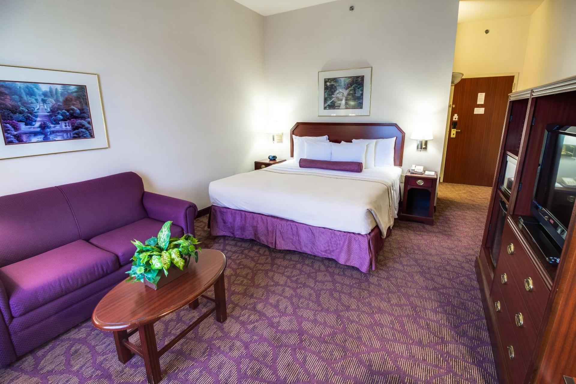 Spark by Hilton Amarillo East photo 4