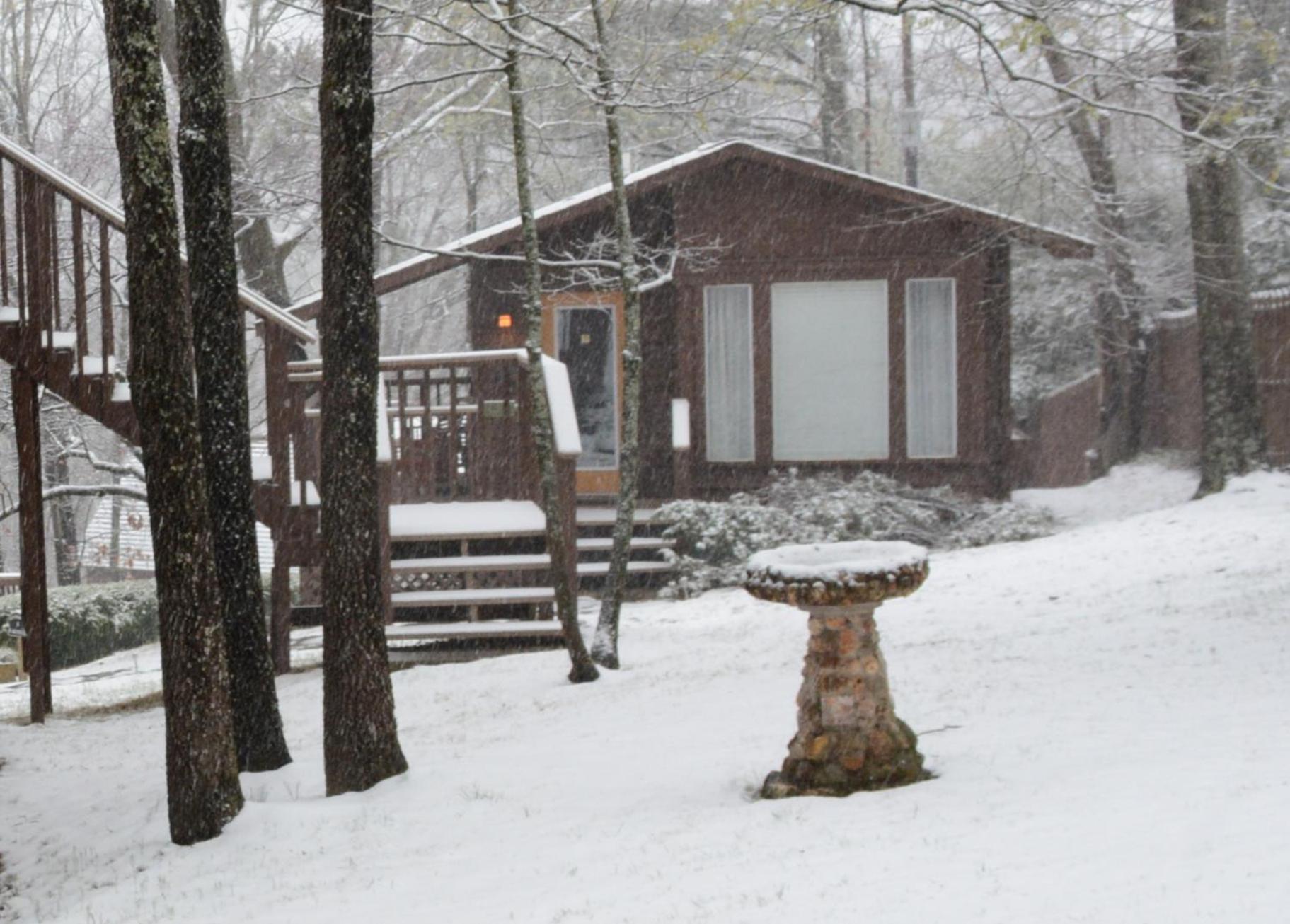 The Woods Cabins photo 33