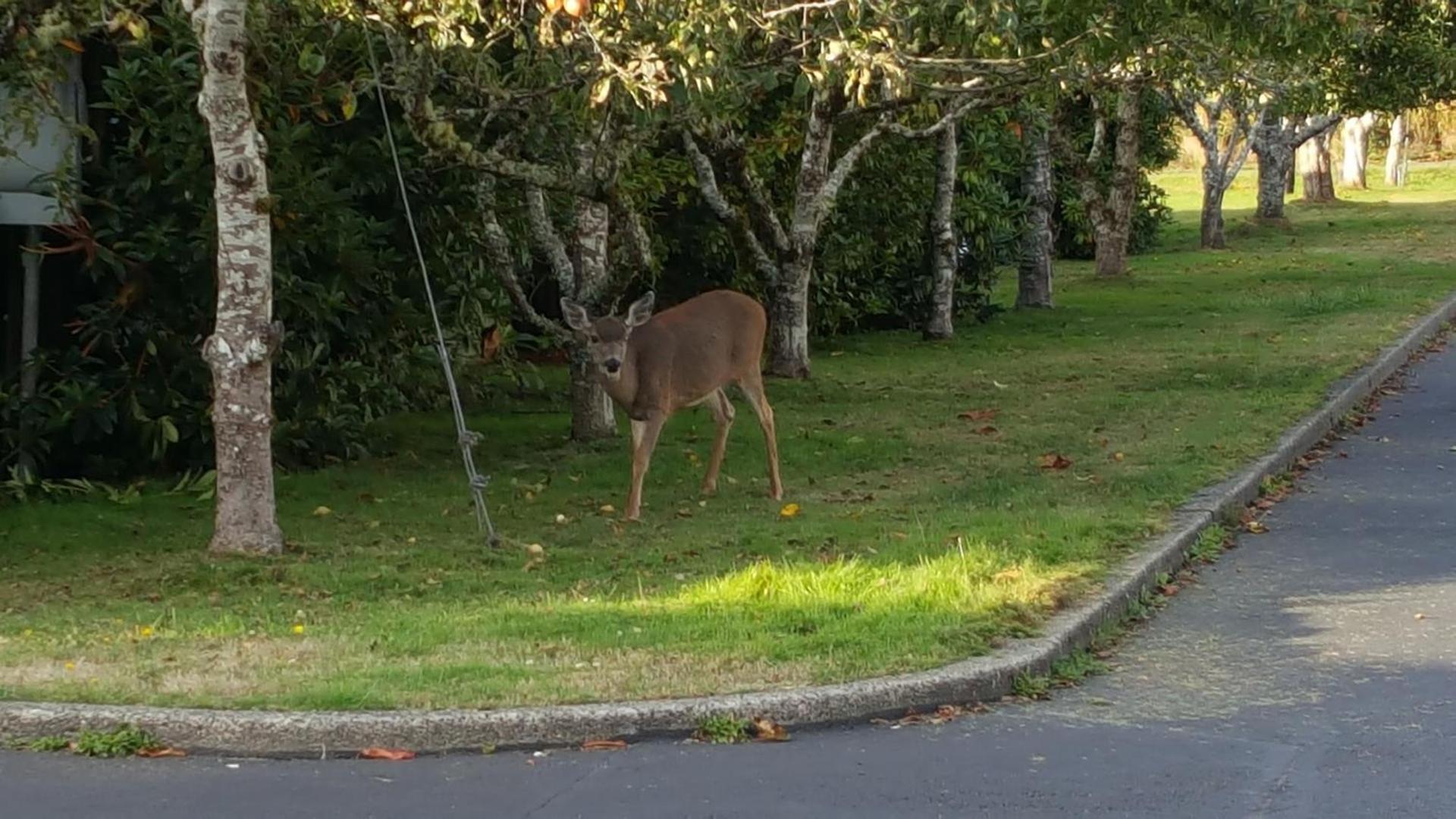 Winchester Bay Inn photo 29
