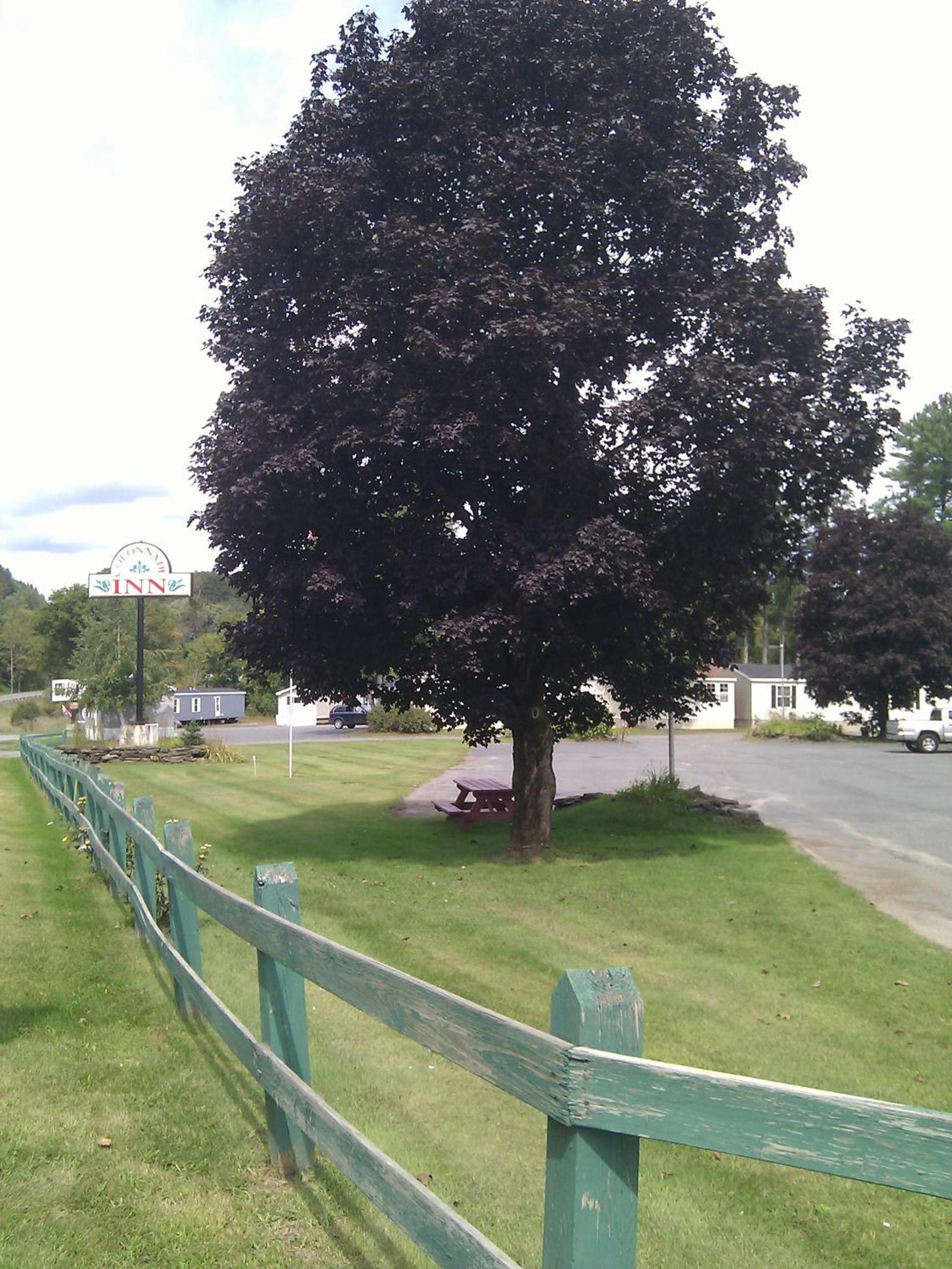 Colonnade Inn photo 33