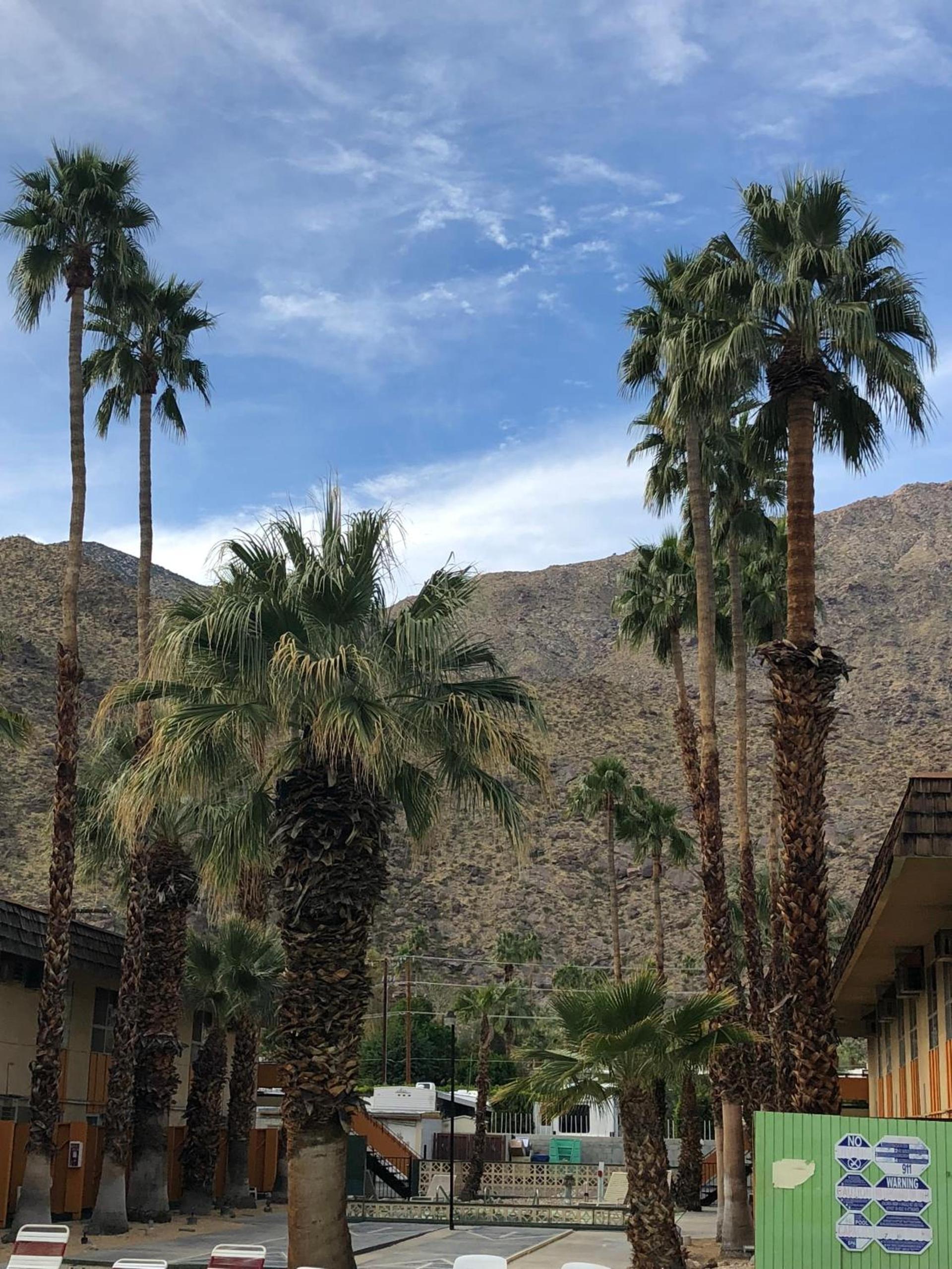Desert Lodge photo 3