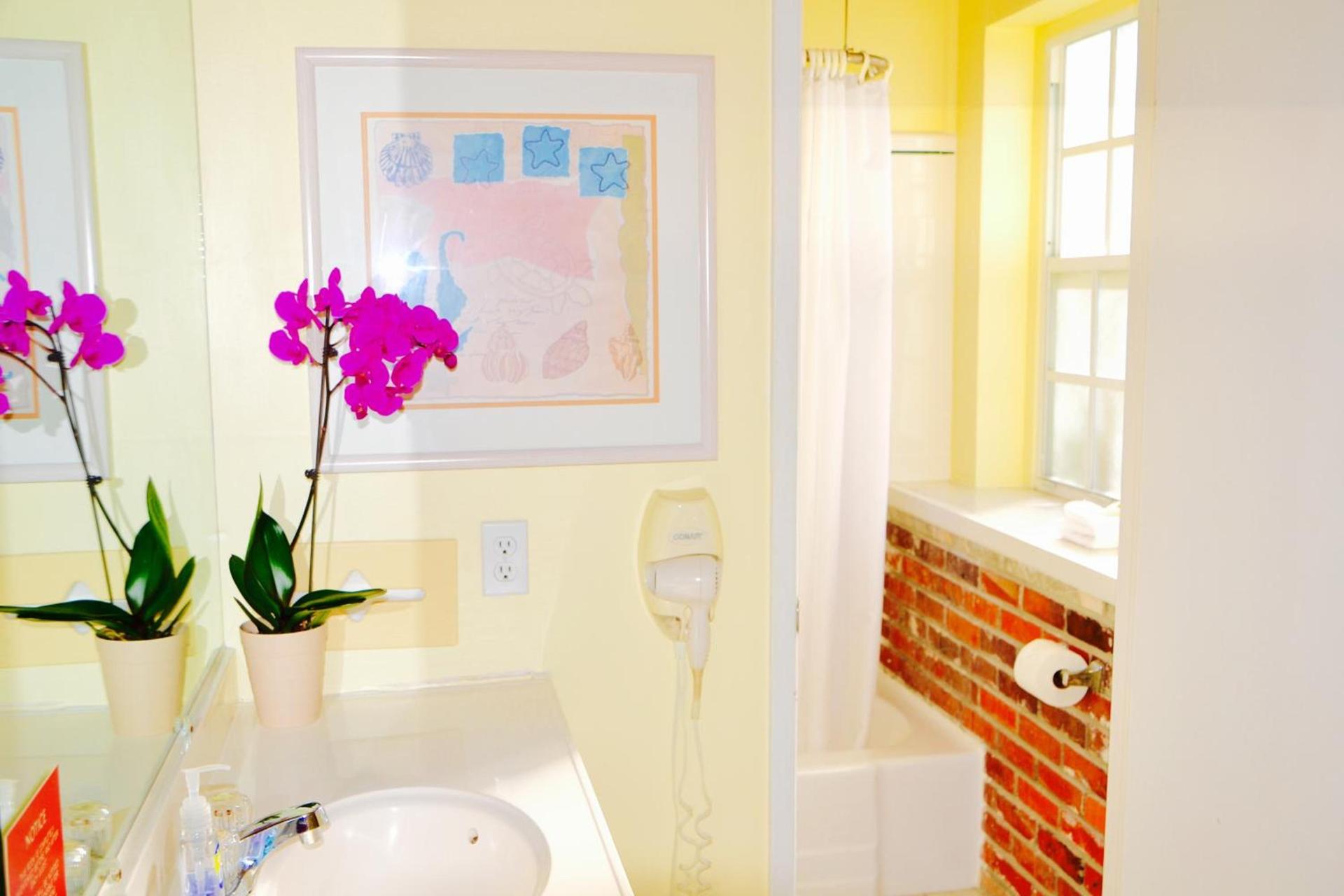 Sea Turtle Inn photo 14