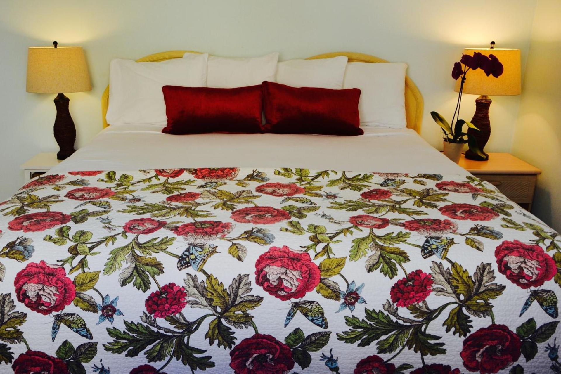 Sea Turtle Inn photo 21