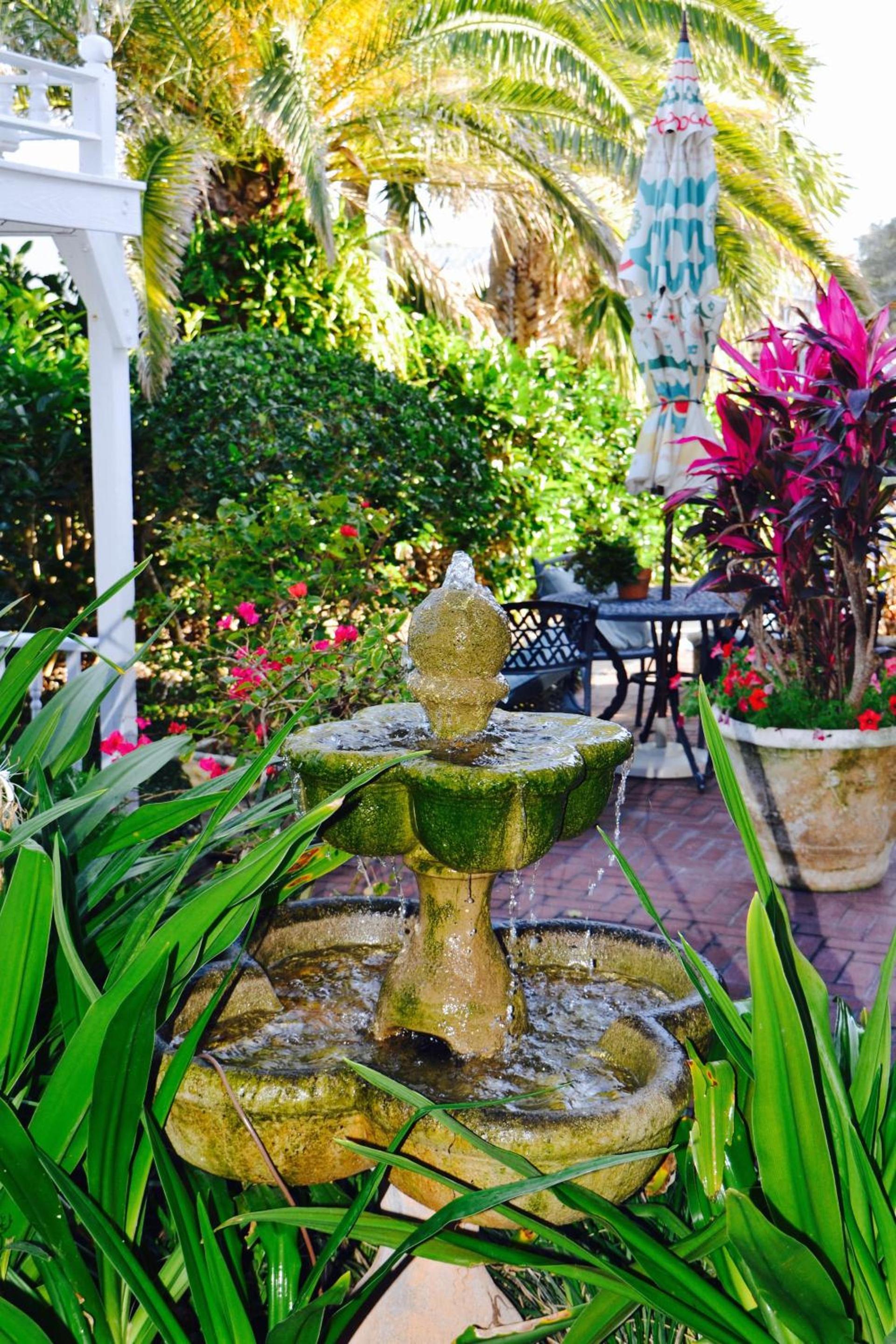 Sea Turtle Inn photo 8