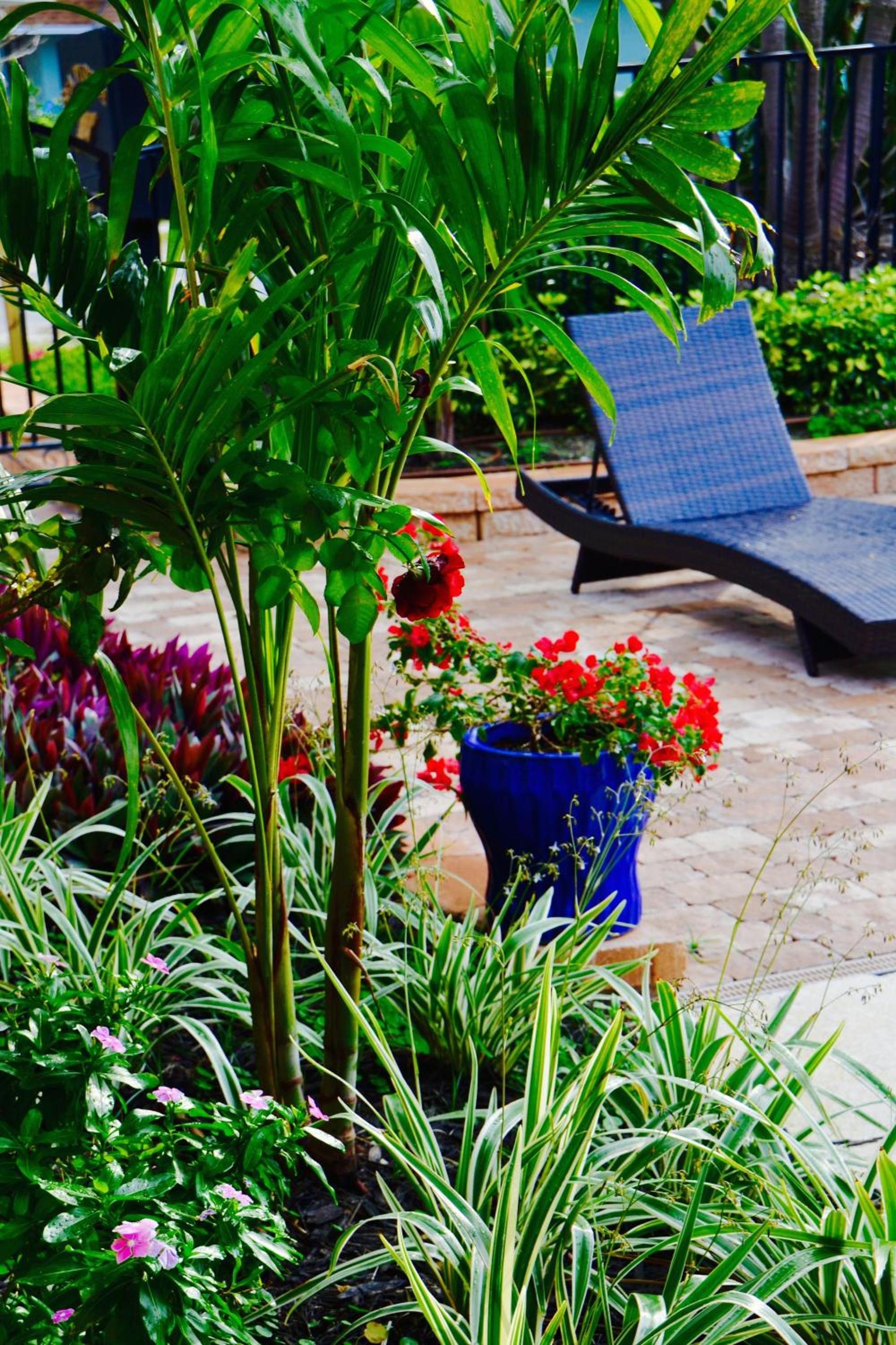 Sea Turtle Inn photo 68
