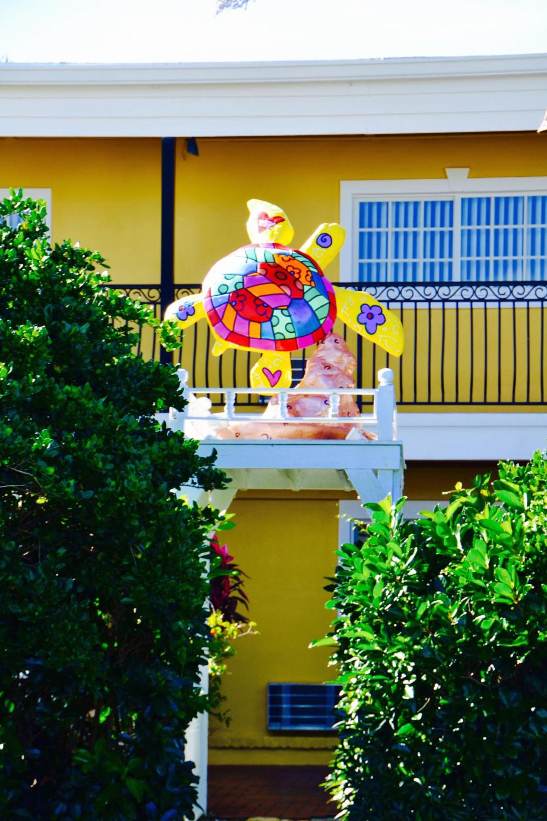 Sea Turtle Inn photo 64