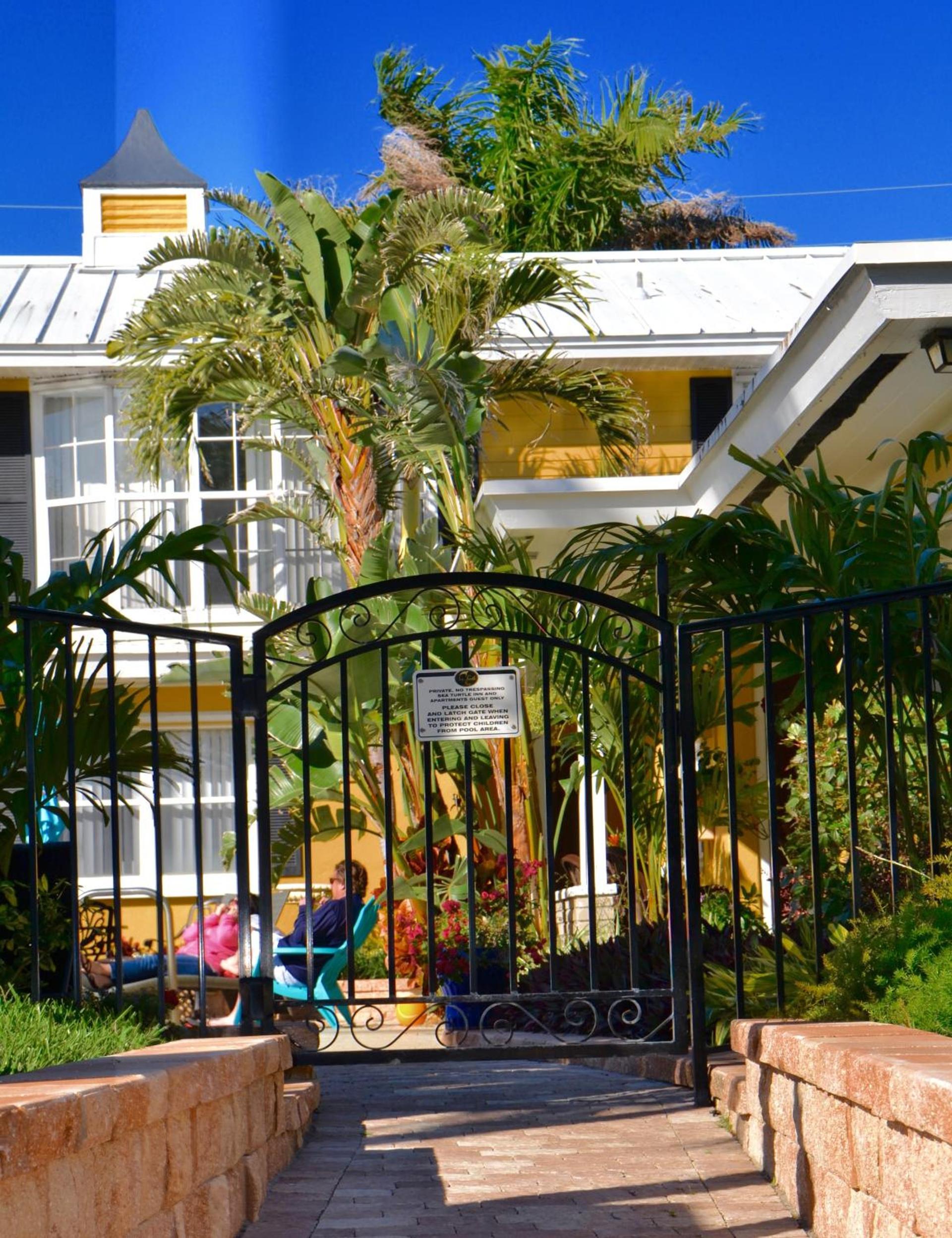 Sea Turtle Inn photo 71