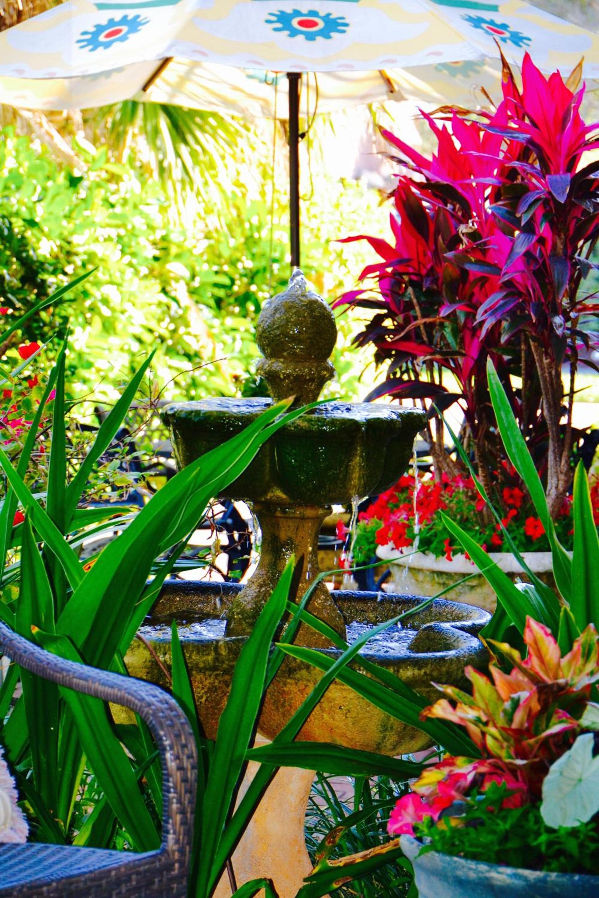 Sea Turtle Inn photo 45