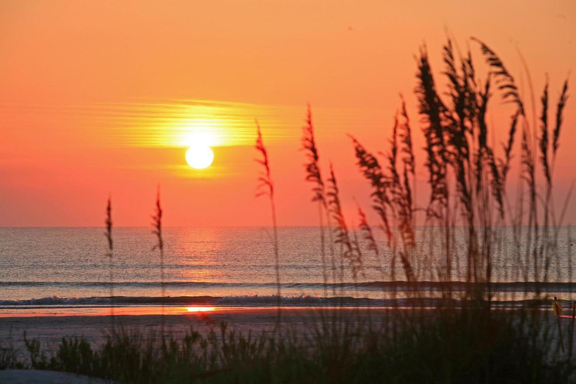 Guy Harvey Resort on Saint Augustine Beach photo 82