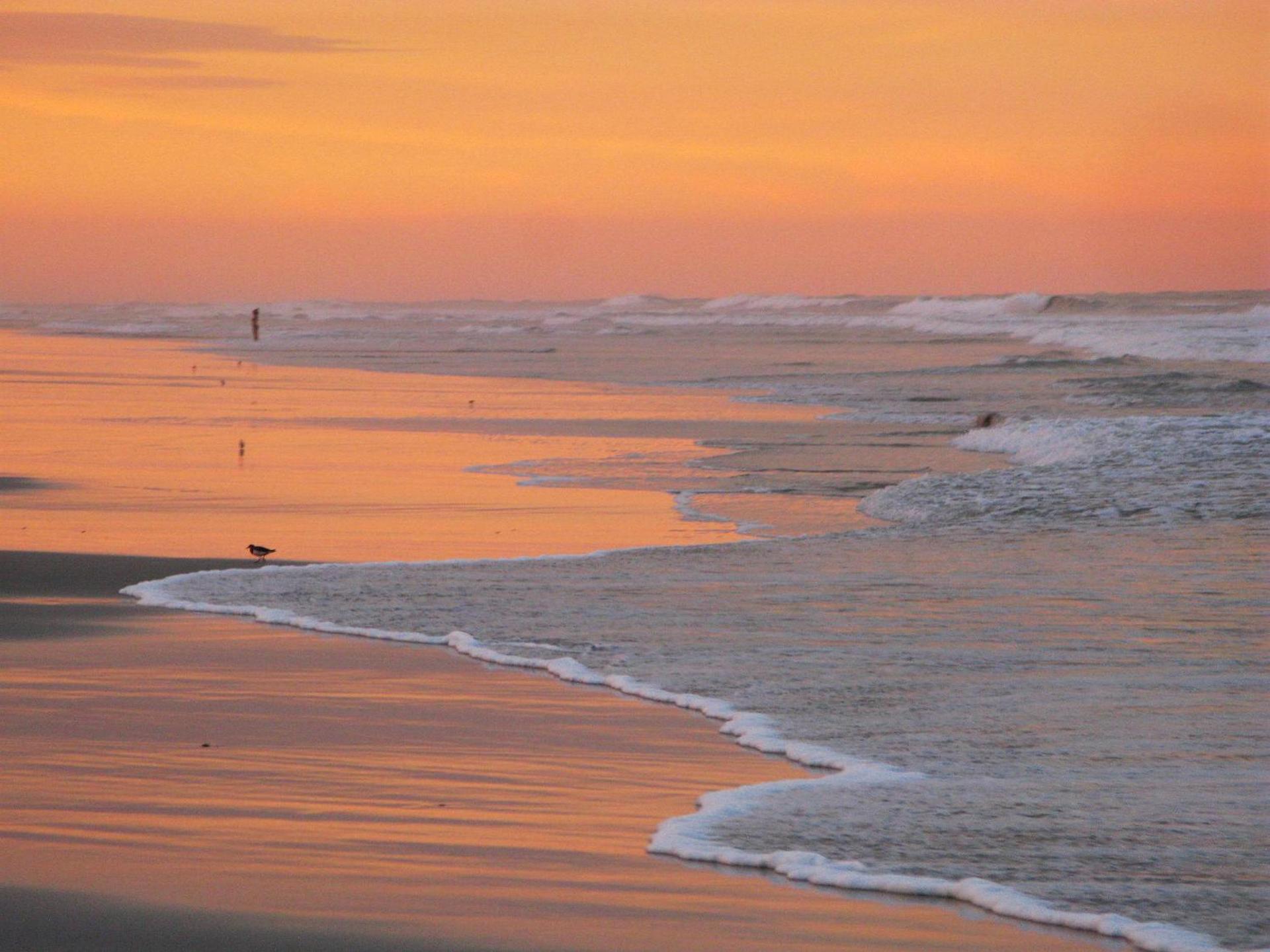 Guy Harvey Resort on Saint Augustine Beach photo 81