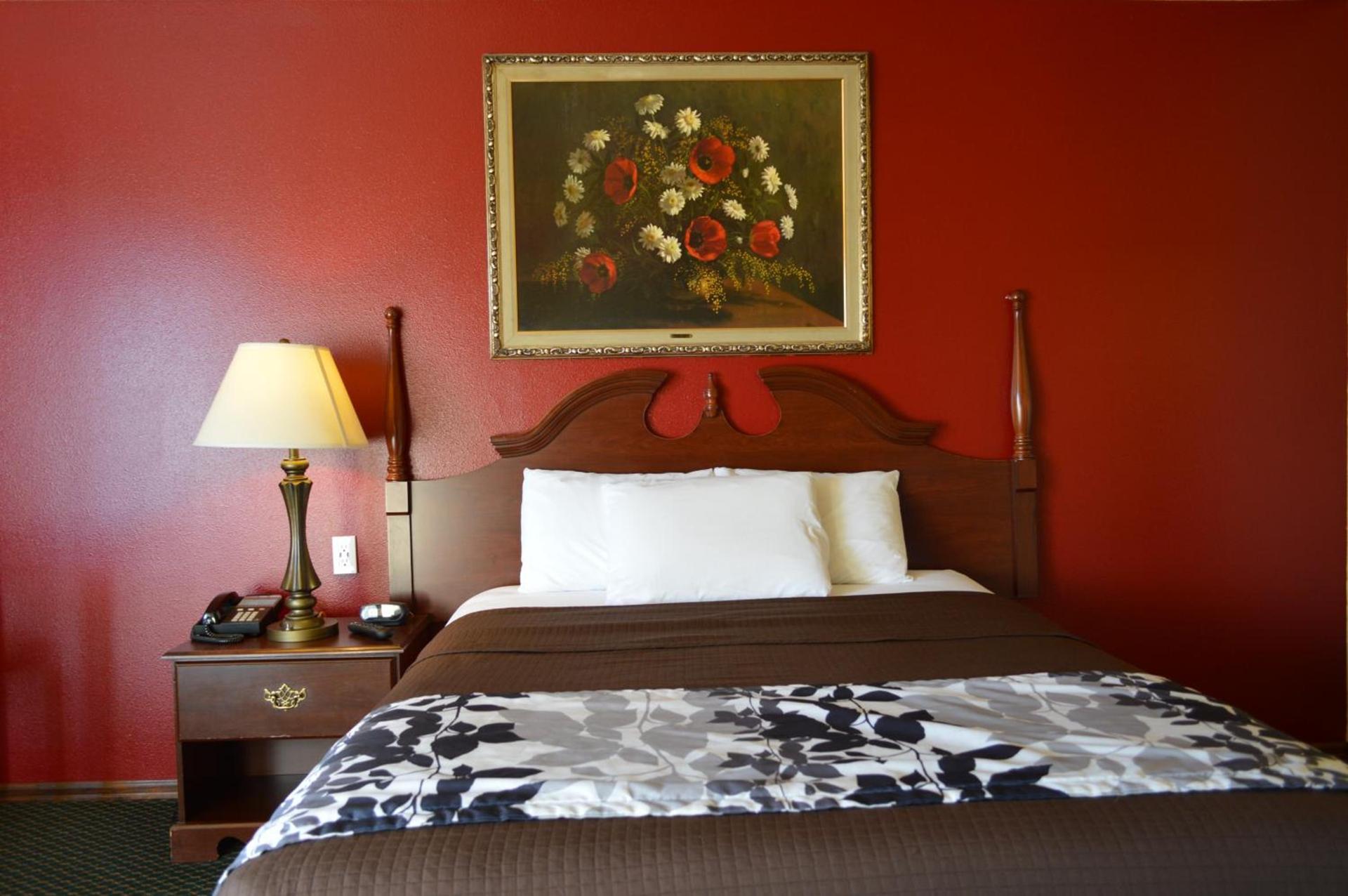 Western Motel photo 13