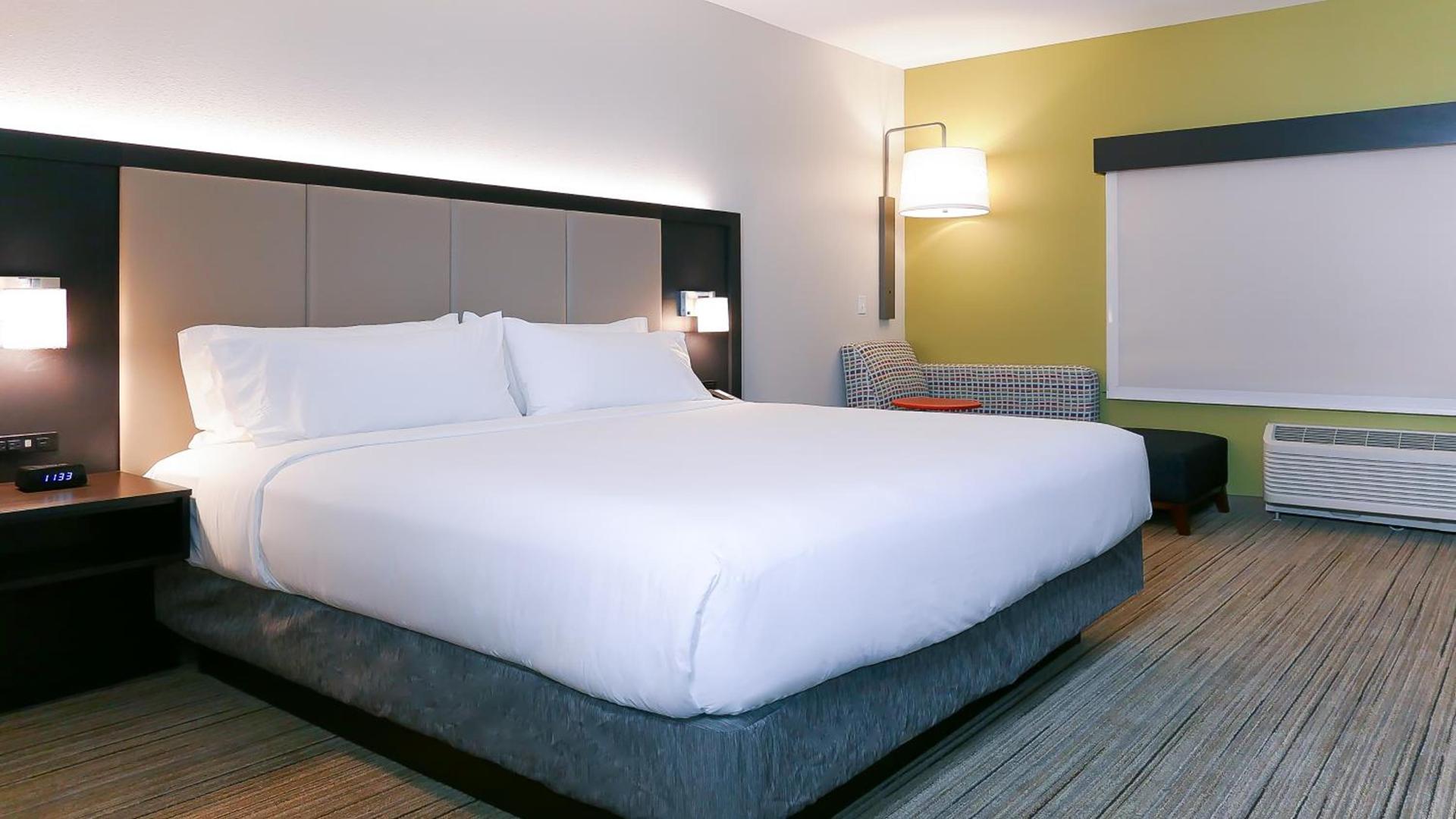 Holiday Inn Express & Suites - Tampa East - Ybor City by IHG photo 5
