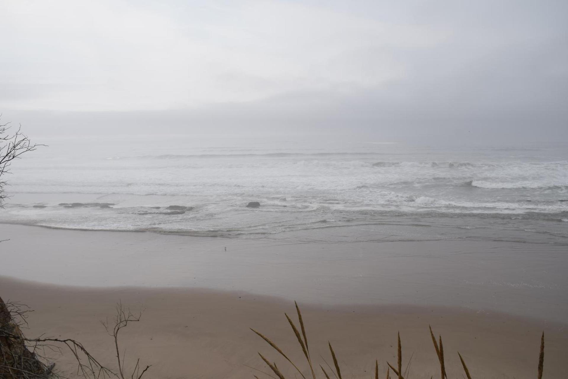 Schooner Landing photo 22