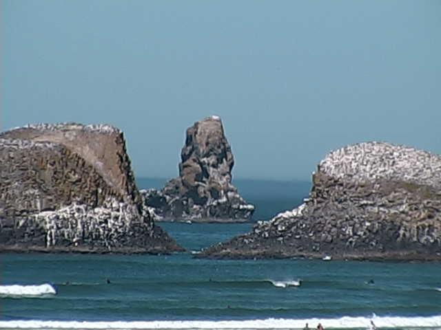 Webb's Scenic Surf photo 94