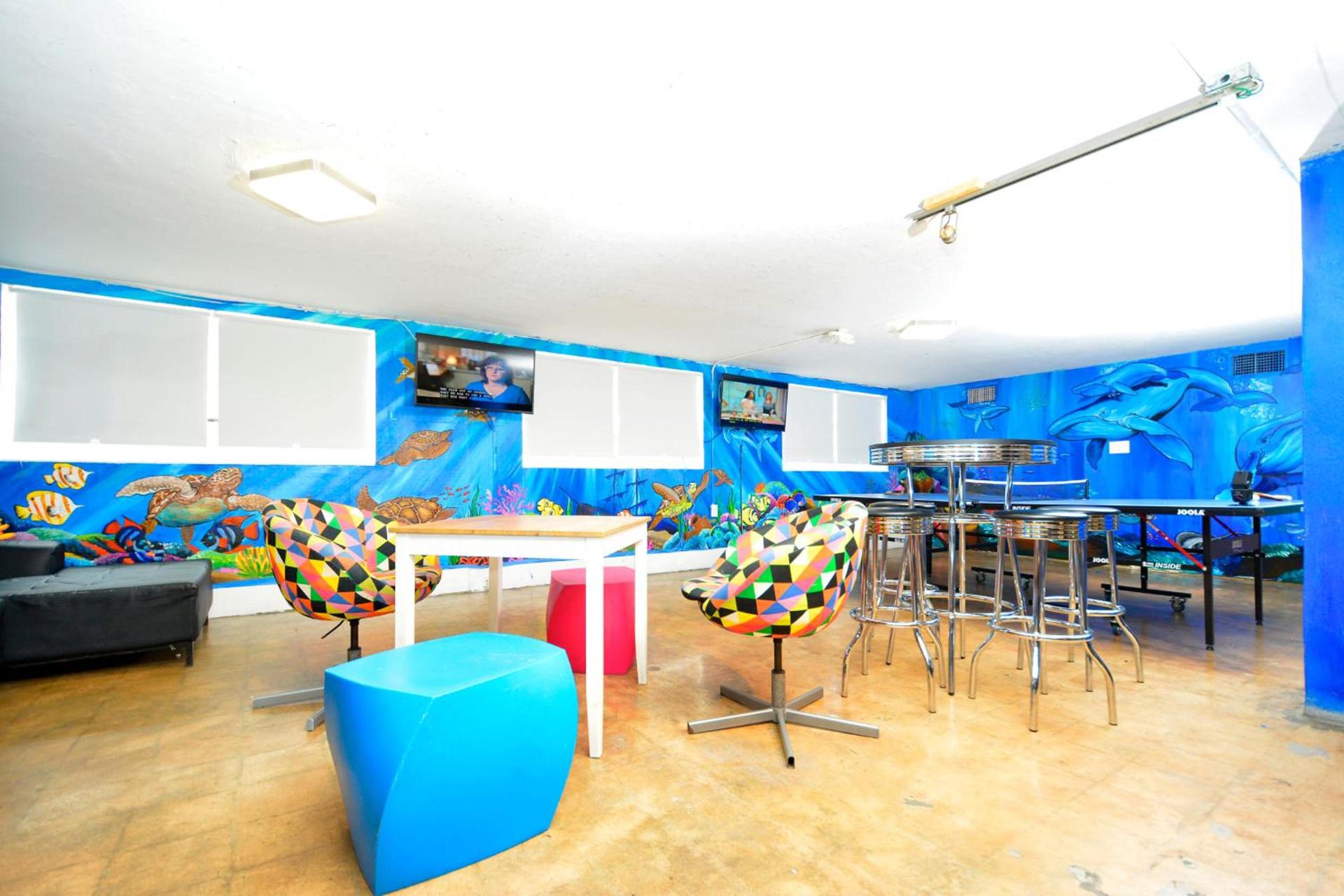 South Beach Rooms and Hostel photo 11