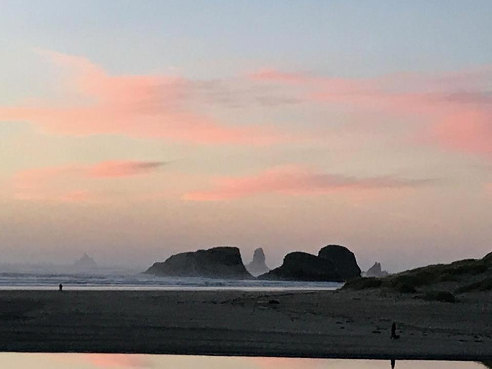 Webb's Scenic Surf photo 84