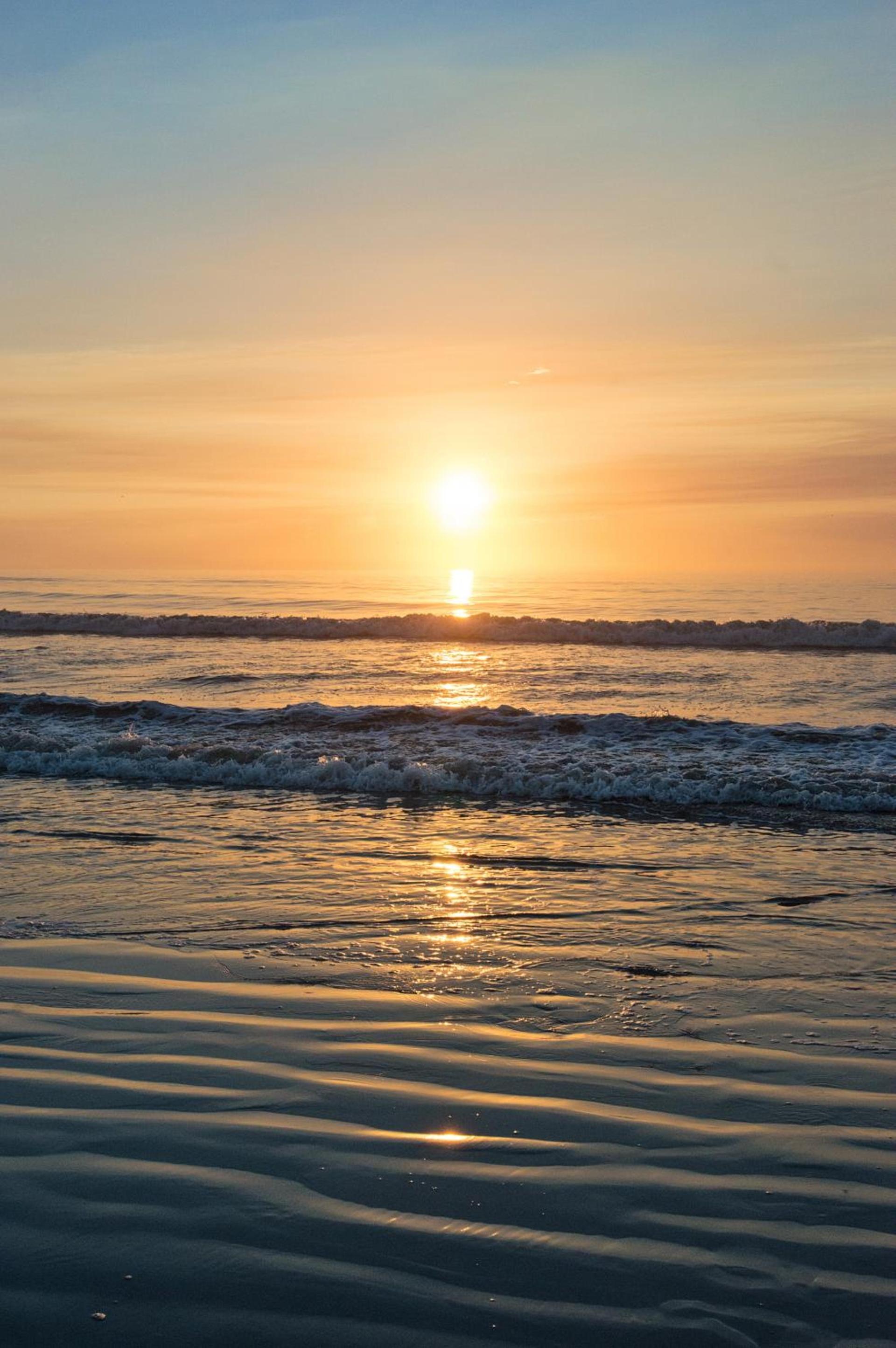 Guy Harvey Resort on Saint Augustine Beach photo 76