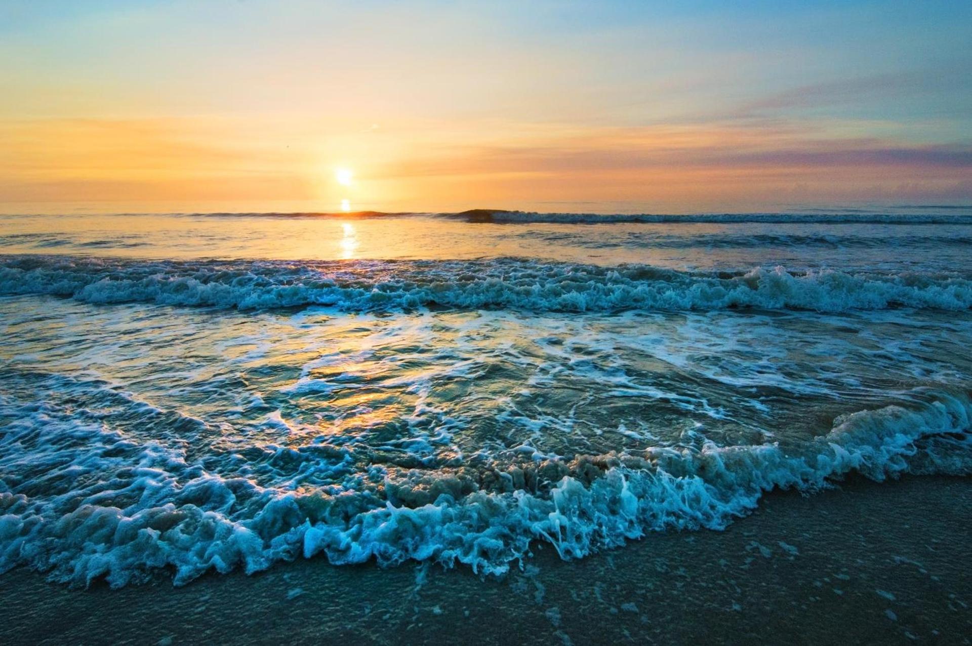 Guy Harvey Resort on Saint Augustine Beach photo 14